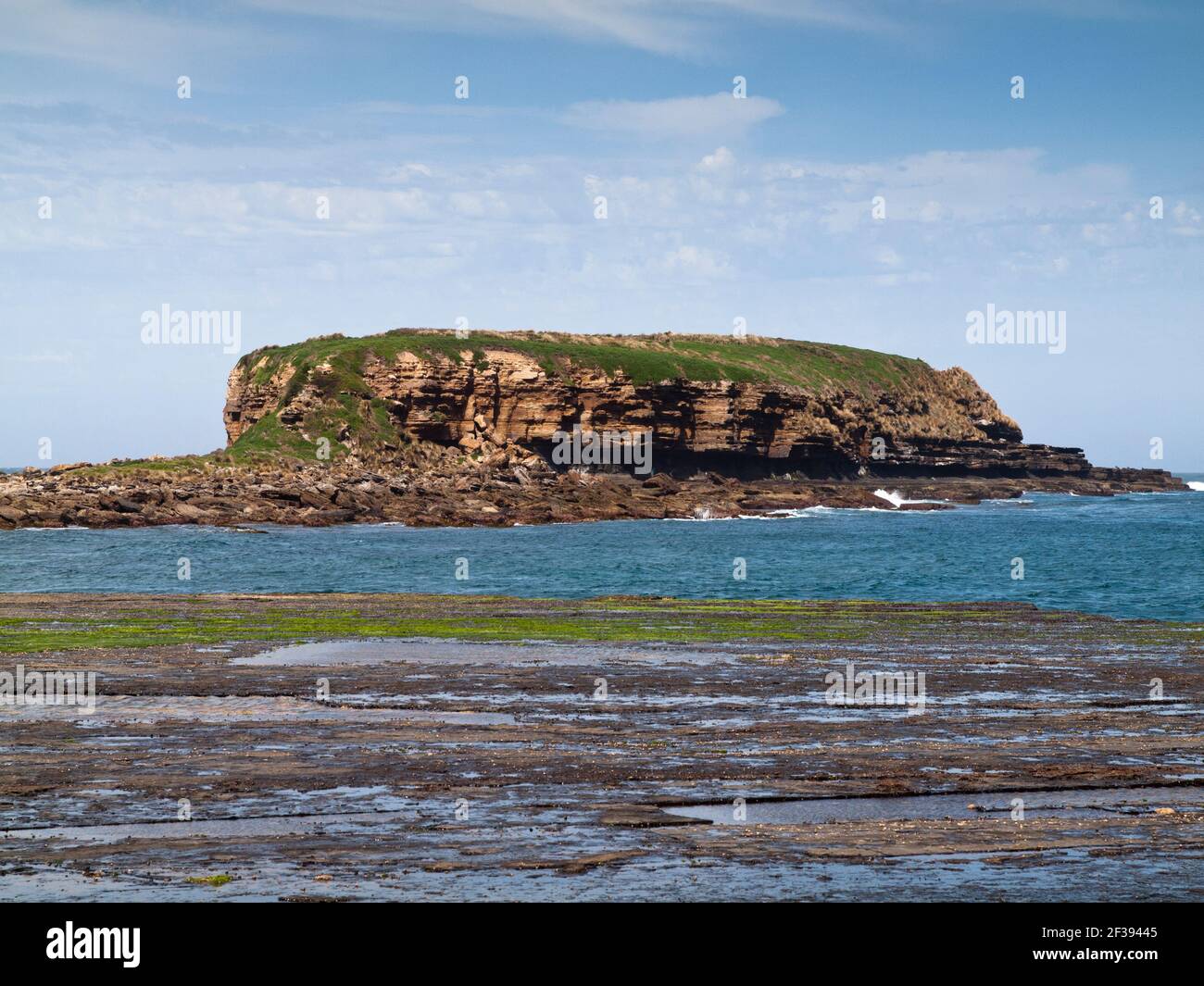Rock Platform et Grasshopper Island, Depot Beach, Murramarang National Park, Nouvelle-Galles du Sud, Australie Banque D'Images