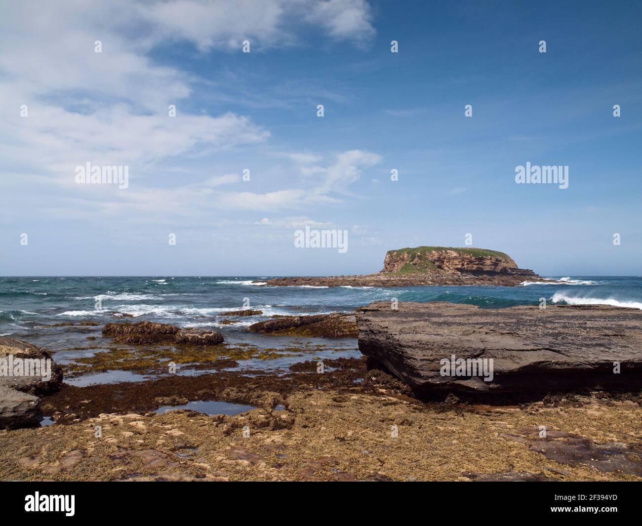 Rock Platform et Grasshopper Island, Depot Beach, Murramarang National Park, Nouvelle-Galles du Sud, Australie Banque D'Images