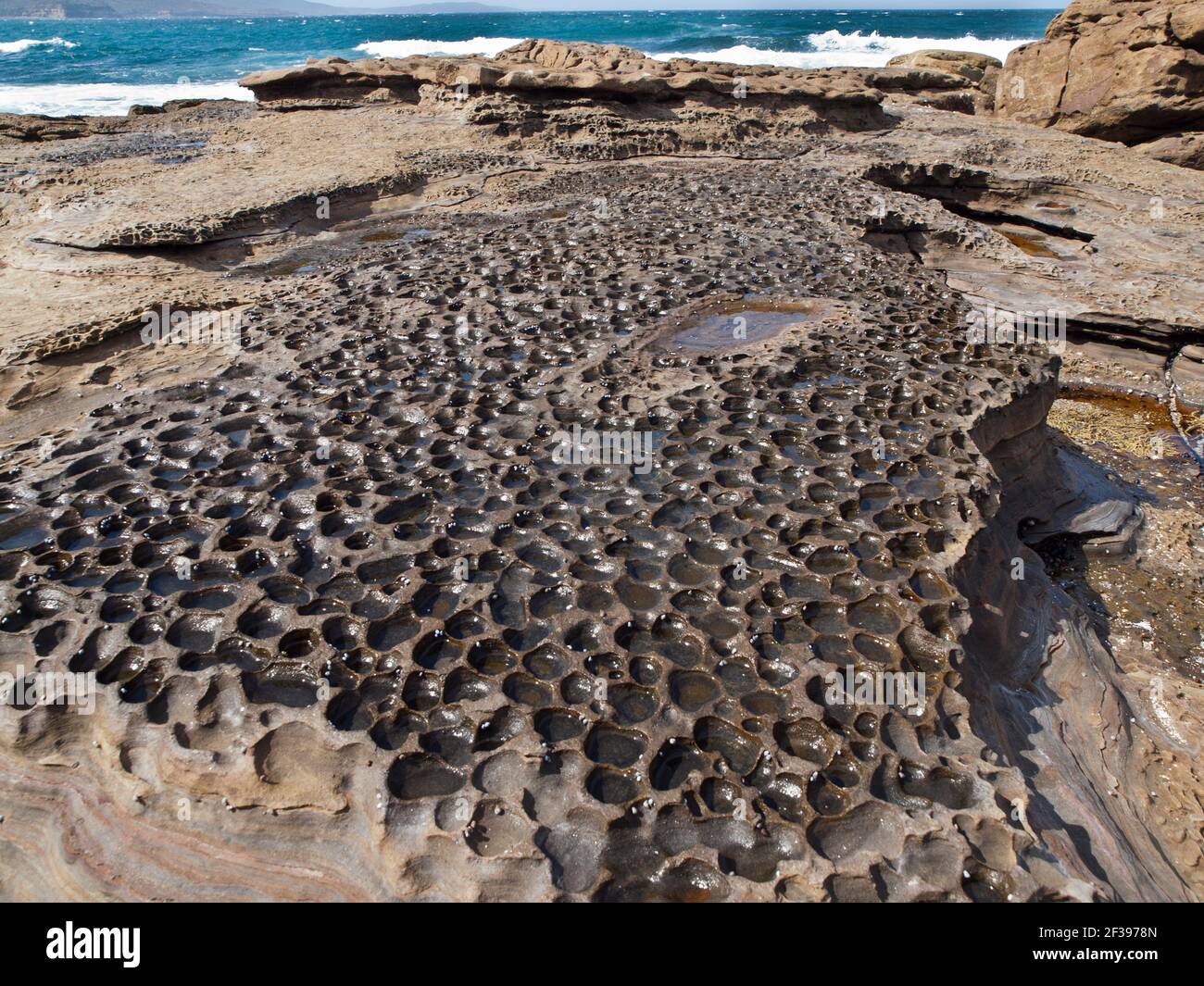 Creux érodés dans la plate-forme rocheuse, parc national de Murramarang, Nouvelle-Galles du Sud, Australie Banque D'Images