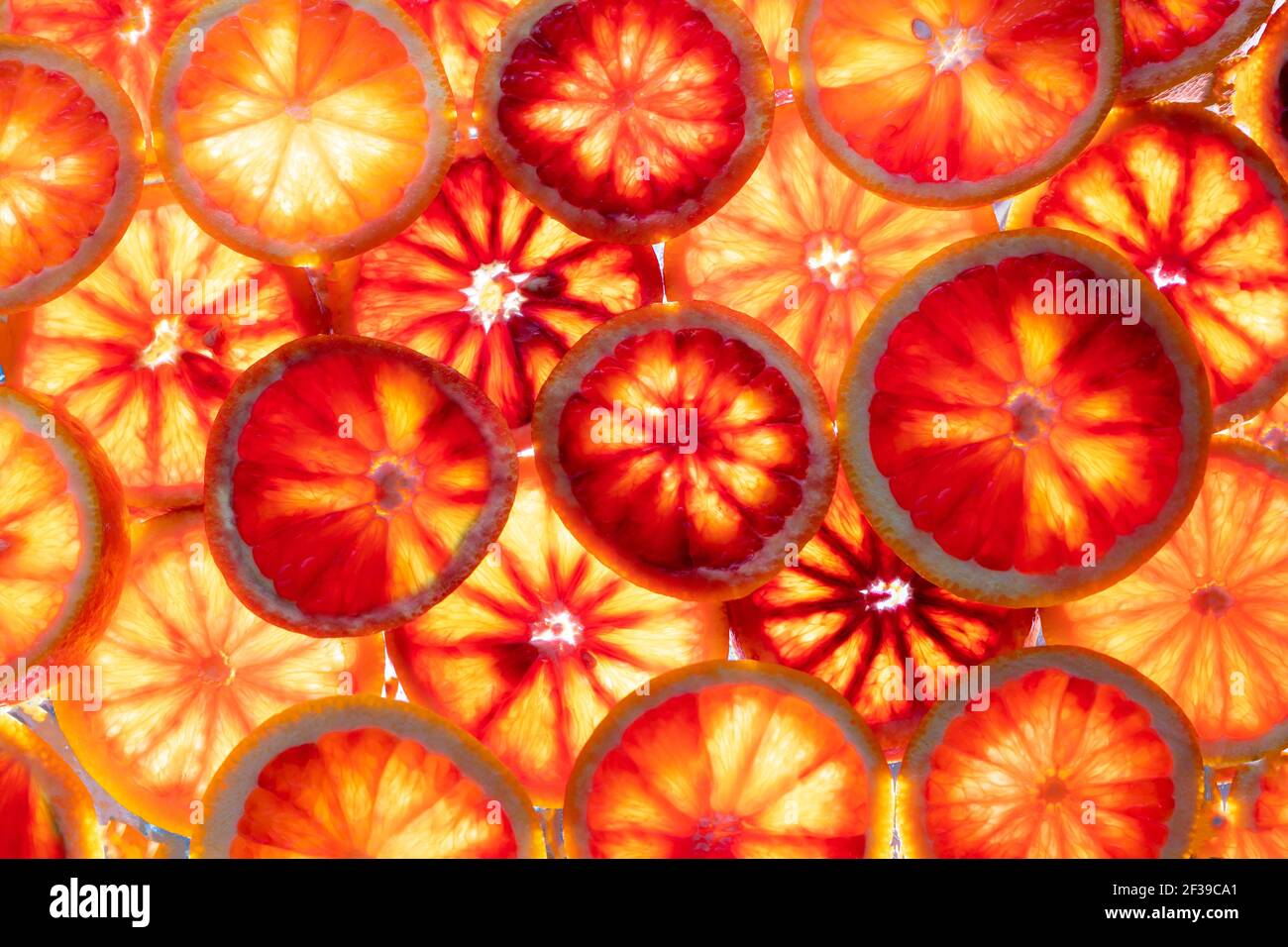 Fond de fruit orange rouge. Tranches d'orange juteuse. Nourriture. Concept d'été. Gros plan sur la lumière. Translucide. Banque D'Images