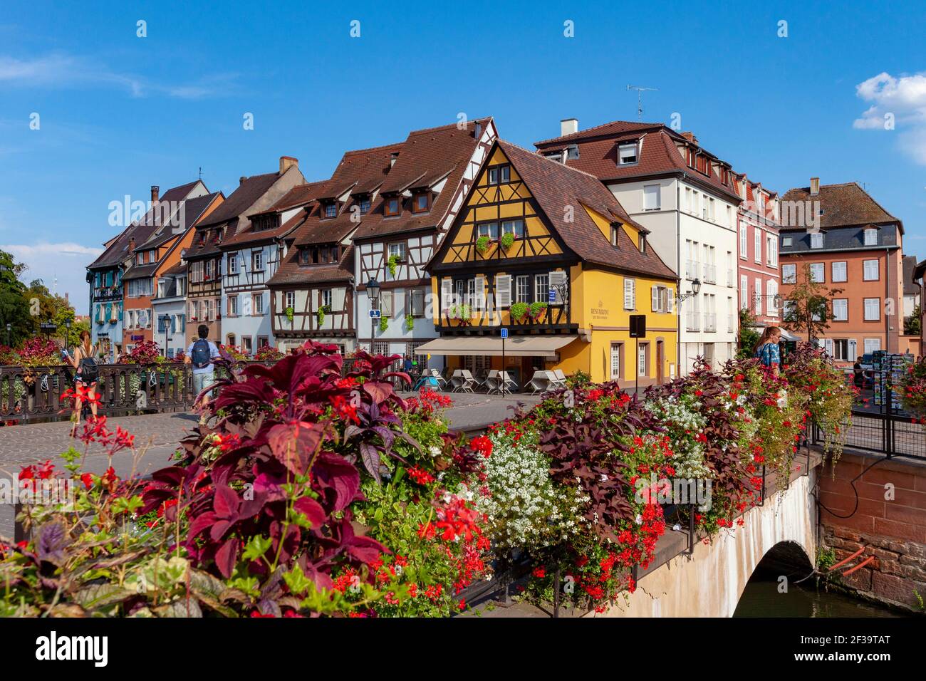 Colmar (nord-est de la France) : façades de maisons à colombages, maisons alsaciennes traditionnelles, quai 'Quai de la Poissonnerie', avec le pont de la St Banque D'Images