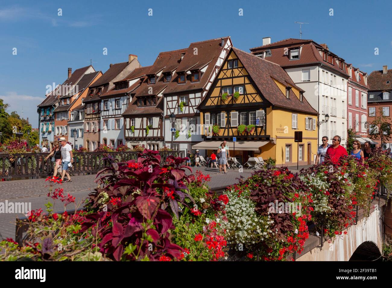 Colmar (nord-est de la France) : façades de maisons à colombages, maisons alsaciennes traditionnelles, quai 'Quai de la Poissonnerie', avec le pont de la St Banque D'Images