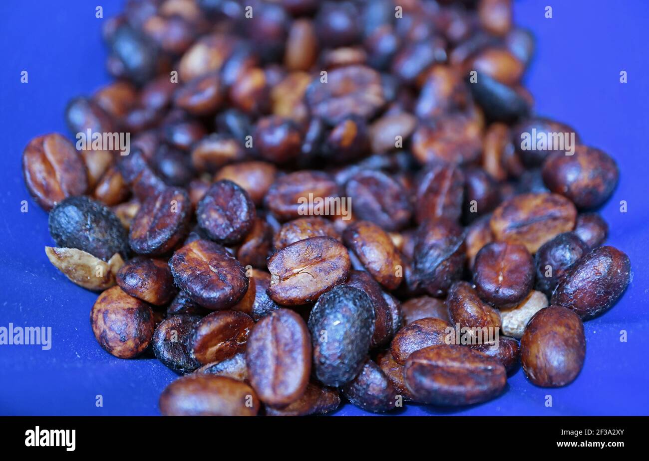 Gros plan du tas de grains de café de traitement au miel noir Banque D'Images