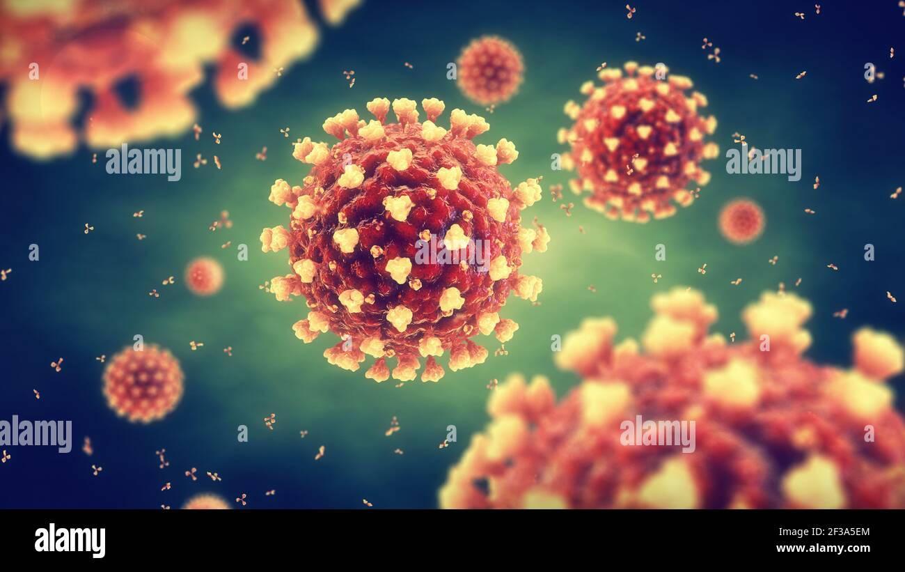 Le coronavirus est un virus hautement contagieux qui provoque un syndrom respiratoire aigu sévère. La pandémie mondiale COVID-19 est causée par le COV-2 du SRAS. Banque D'Images