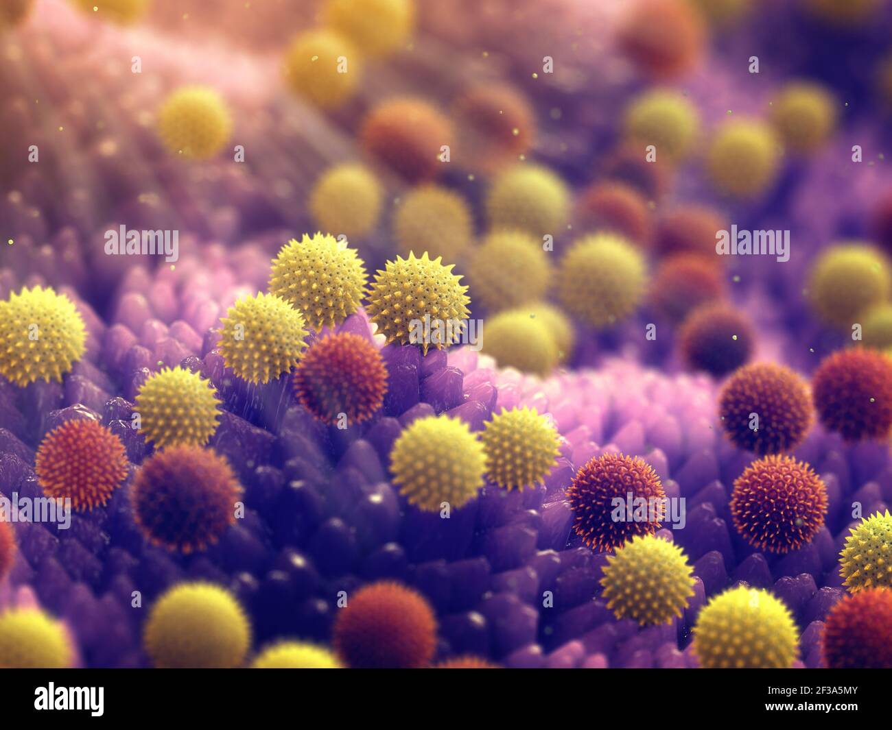 L'allergie au pollen est également connue sous le nom de rhume des foins ou de rhinite allergique. Illustration des grains de pollen. Banque D'Images