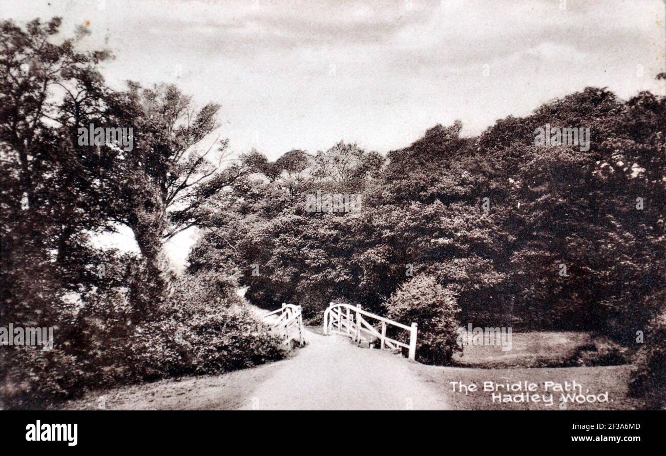 The Bridle Path, Hadley Wood, au nord du Grand Londres, Angleterre, Royaume-Uni. Carte postale antique, utilisée en 1911. Éditeur inconnu. Banque D'Images