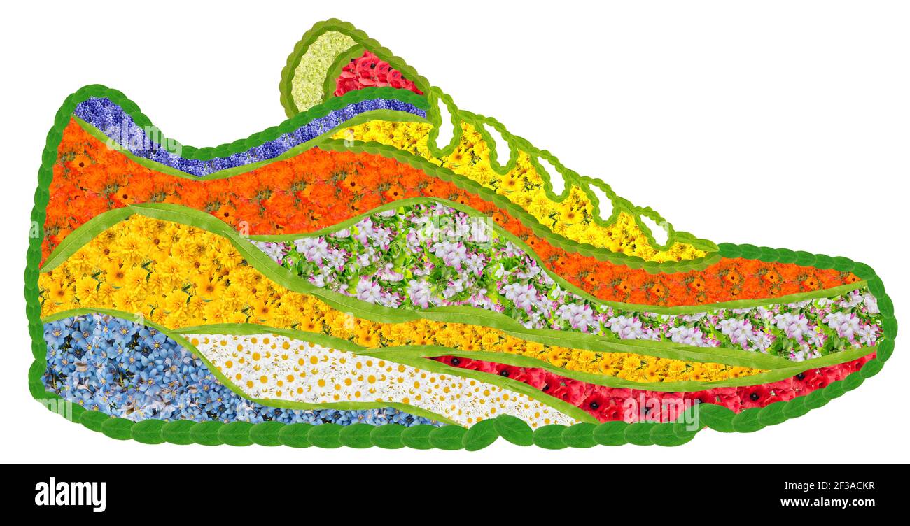 Sneaker sport bio en fleurs et en liaves. Collage photo fait main isolé Banque D'Images
