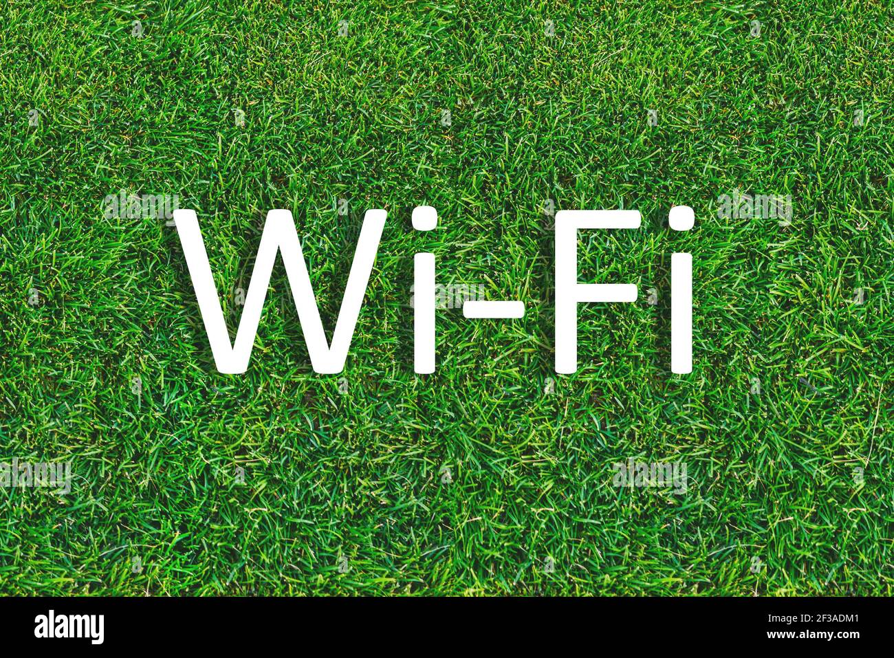 Icône Wi-Fi sur fond d'herbe verte. Zone d'accès sans fil à Internet. Technologies de réseau local. Communication des personnes sur Internet et s Banque D'Images