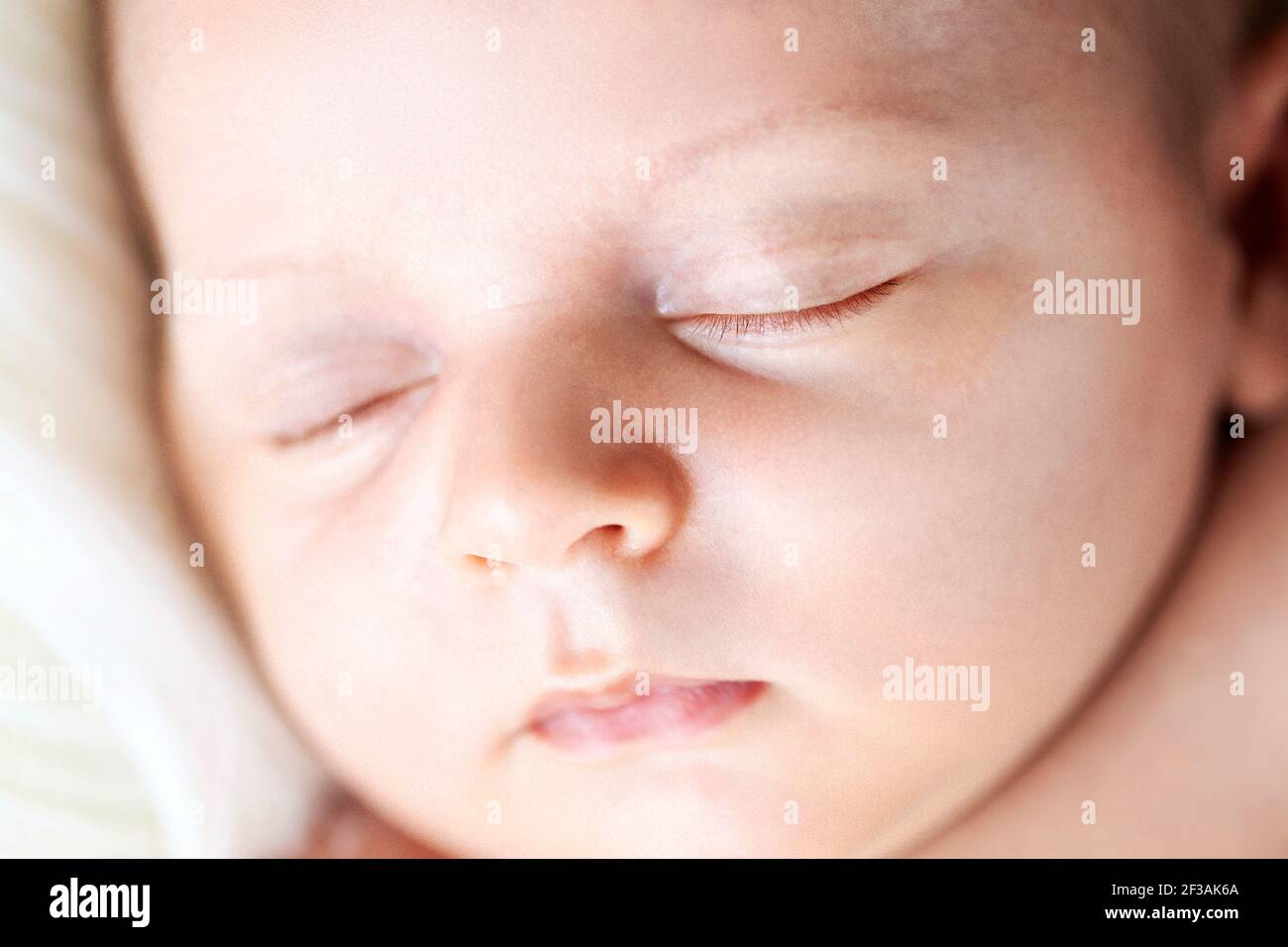 Portrait d'un bébé nouveau-né garçon Banque D'Images