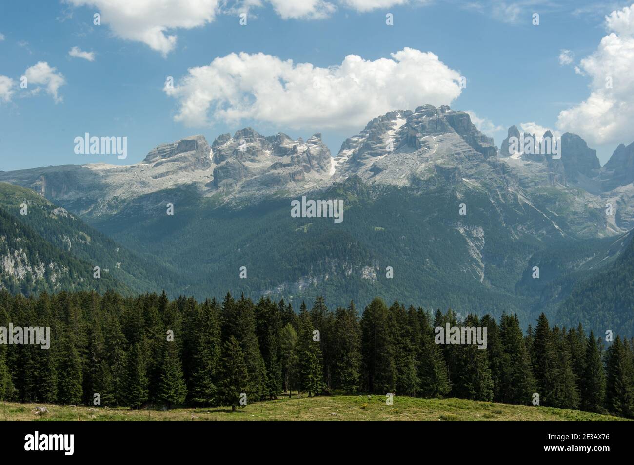 Madonna di Campiglio, Parc naturel Adamello Brenta, Brenta, Dolomites, Trentin-Haut-Adige, Italie, Europe Banque D'Images