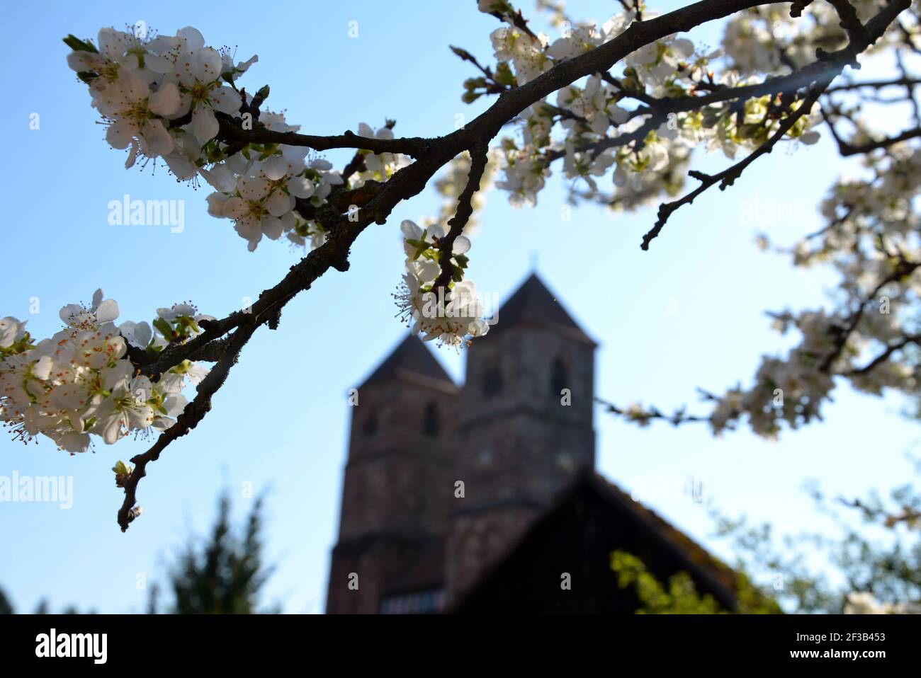 Magnifique accolade en fleurs avec le monastère Kloster Veßra en arrière-plan Banque D'Images