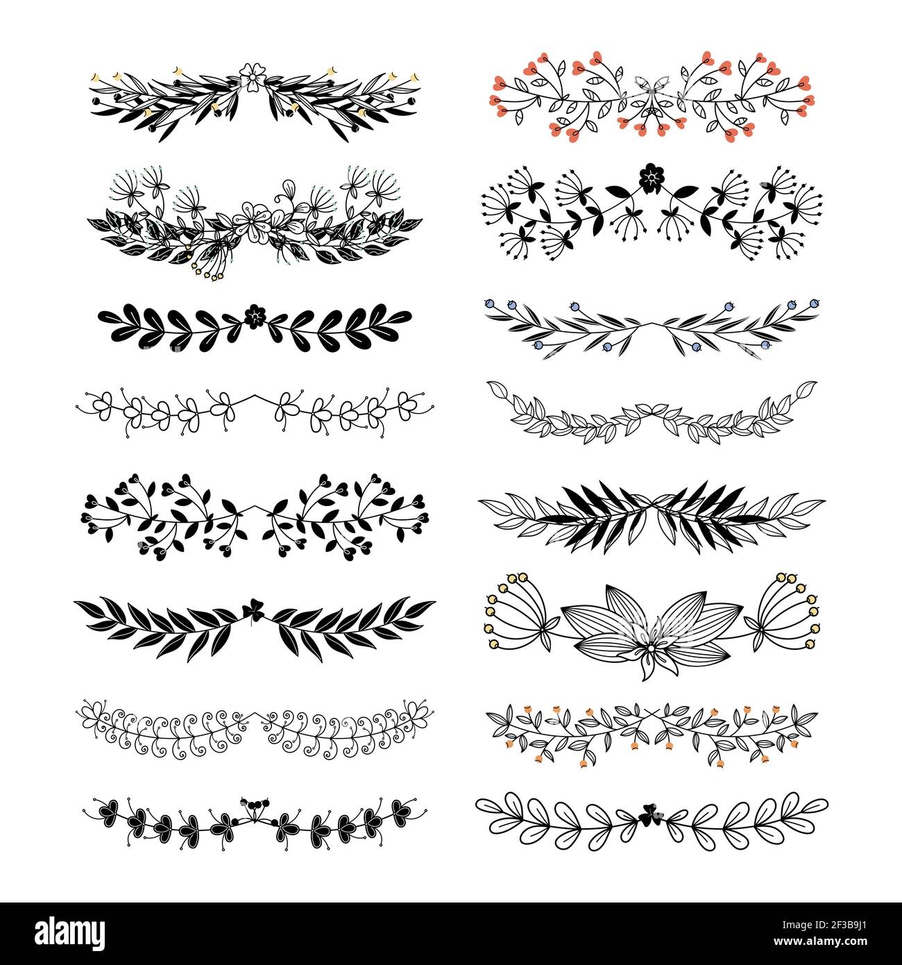 Bordures florales et séparateurs vectoriels isolés sur fond blanc Illustration de Vecteur