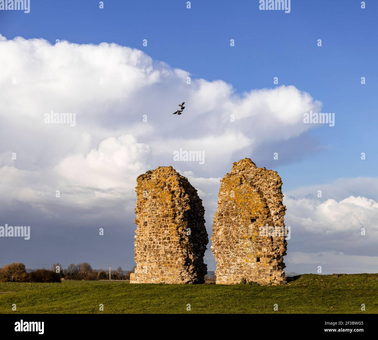 J'espère que les ruines de l'église de la Toussaint avec deux faucons volant au-dessus Sur le Romney Marsh Kent sud-est de l'Angleterre Banque D'Images