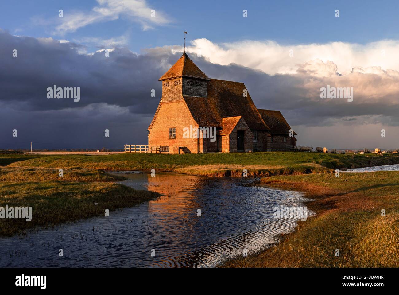 Église Saint Thomas Becket près de Fairfield sur le marais Romney dans le Kent, au sud-est de l'Angleterre, nuages de tempête se rassemblant pendant l'heure bleue et pâturage des moutons Banque D'Images