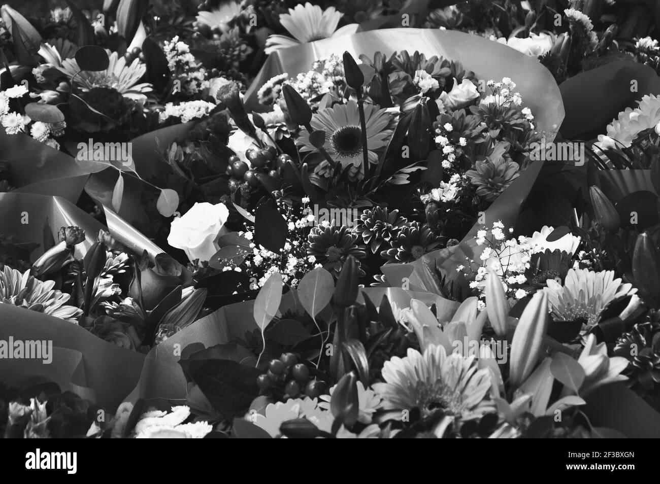 Fond de bouquets de fleurs. Concept de tristesse. Photo en noir et blanc. Banque D'Images