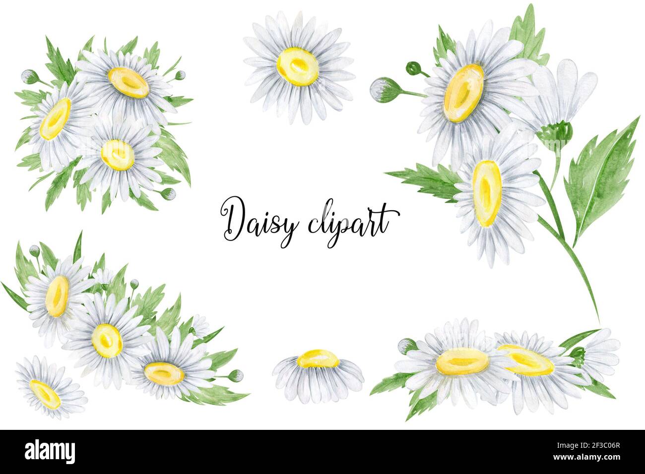 Aquarelle Paquerelle Fleurs Clipart Arrangement Flora Pour Les Invitations De Mariage Les Cartes D Anniversaire Les Cartes Et Les Motifs Photo Stock Alamy
