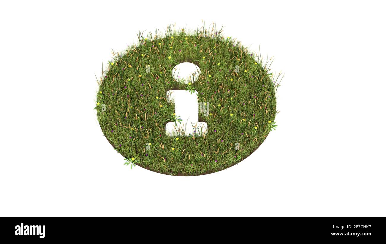 champ d'herbe 3d rendu avec des fleurs colorées en forme de symbole du panneau d'information dans le cercle avec la masse isolée sur arrière-plan blanc Banque D'Images