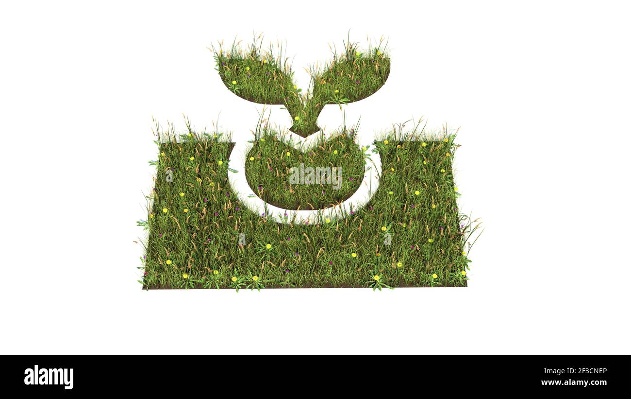 champ d'herbe 3d rendu avec des fleurs colorées en forme de symbole de la germination plante en croissance avec le sol isolé sur blanc arrière-plan Banque D'Images