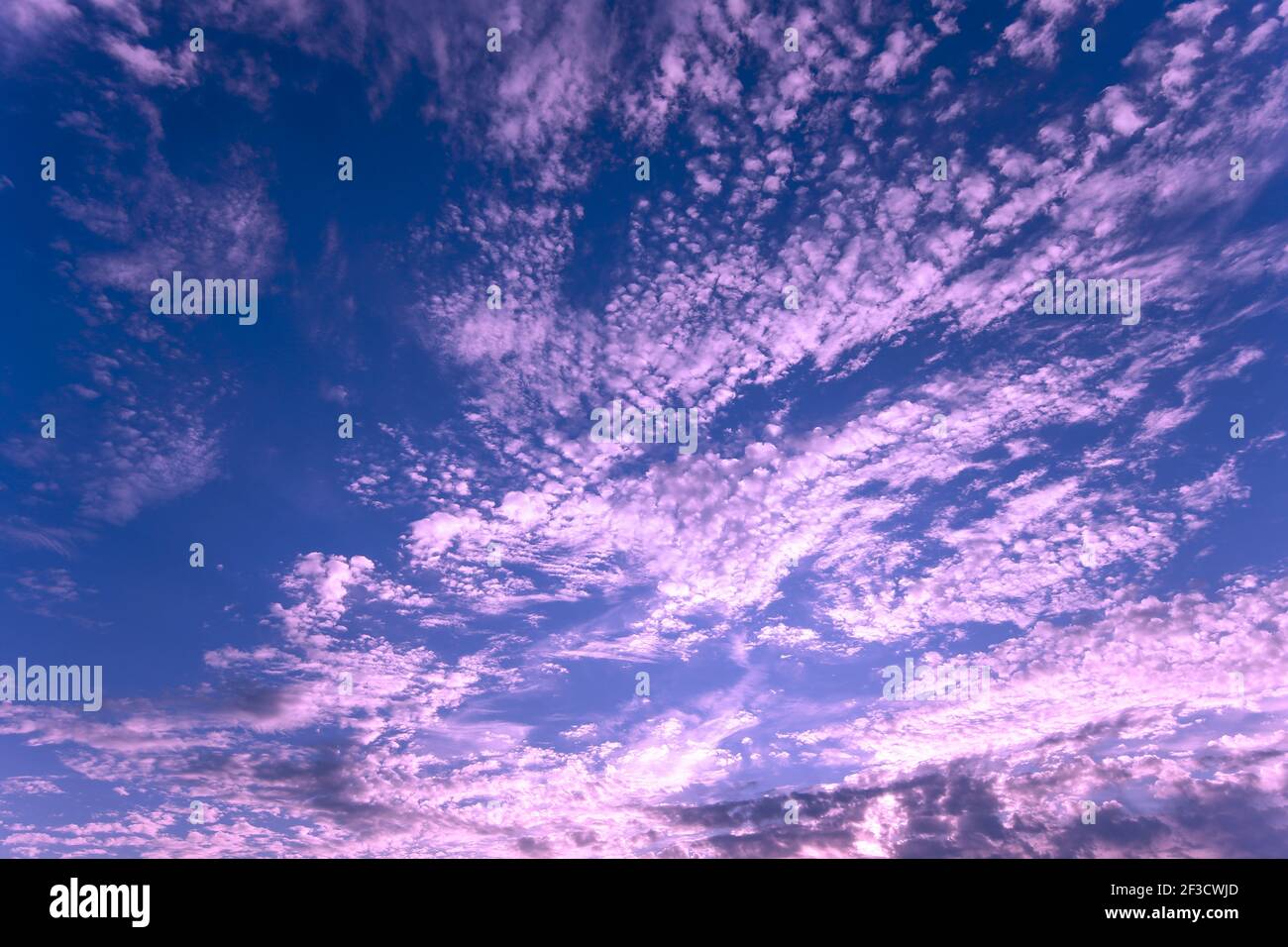 Pantone Ultra Violet 2018 Color Banque d'image et photos - Alamy