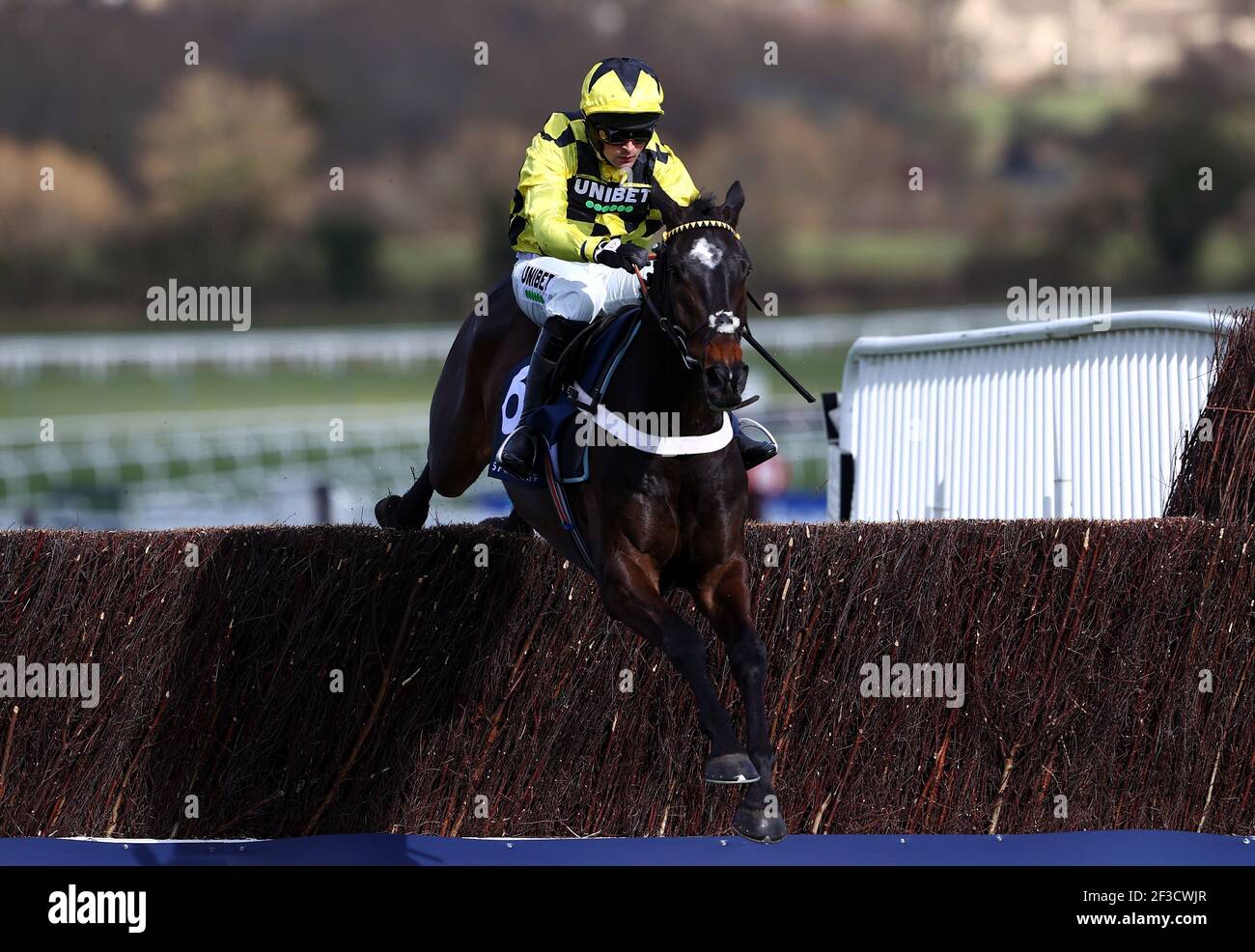 Shishkin criblé par Nico de Boinville saute la dernière clôture pour gagner le Sporting Life Arkle Challenge Trophée novices Chase pendant la première journée du Cheltenham Festival à Cheltenham Racecourse. Date de la photo: Mardi 16 mars 2021. Banque D'Images Shishkin criblé par Nico de Boinville saute la dernière clôture pour gagner le Sporting Life Arkle Challenge Trophée novices Chase pendant la première journée du Cheltenham Festival à Cheltenham Racecourse. Date de la photo: Mardi 16 mars 2021. Banque D'Images