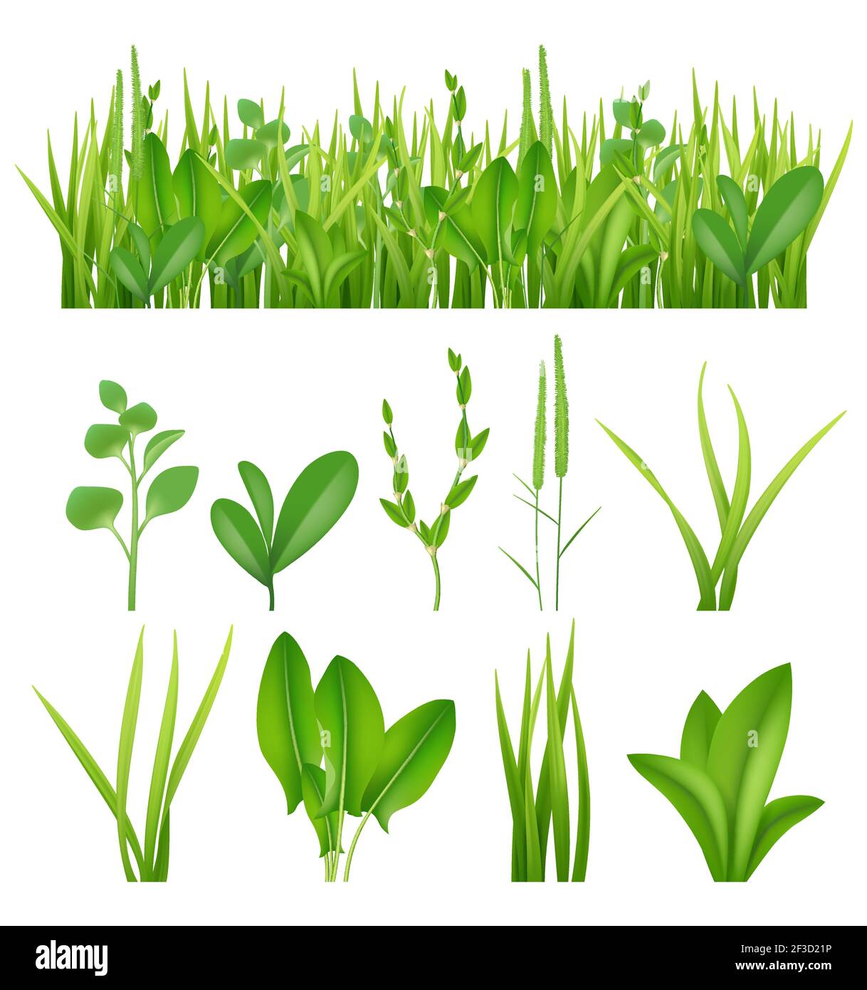 Gazon réaliste. Ensemble écologique herbes vertes feuilles plantes lifes prairies collection d'éléments vectoriels Illustration de Vecteur