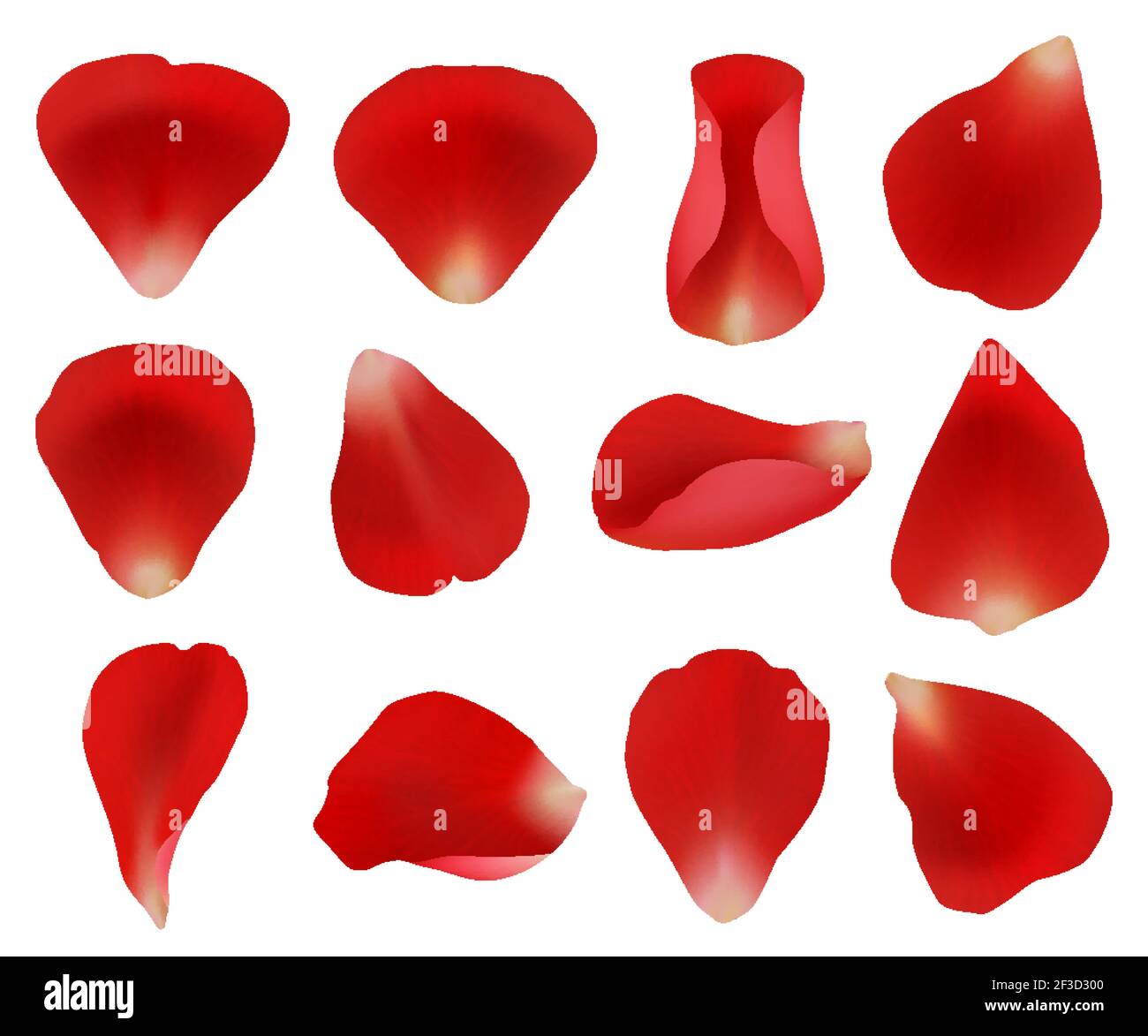 Pétales de rose. Fleurs plantes éléments feuilles rouge collection pétales pour de belles femmes romantiques modèles vectoriels détaillés Illustration de Vecteur