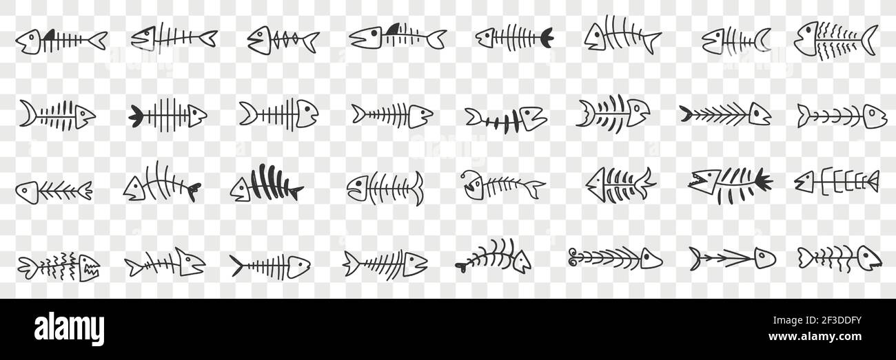 Ensemble de nouilles à motif d'os de poisson. Collection d'os de poissons dessinés à la main squelette avec tête isolée sur fond transparent Illustration de Vecteur