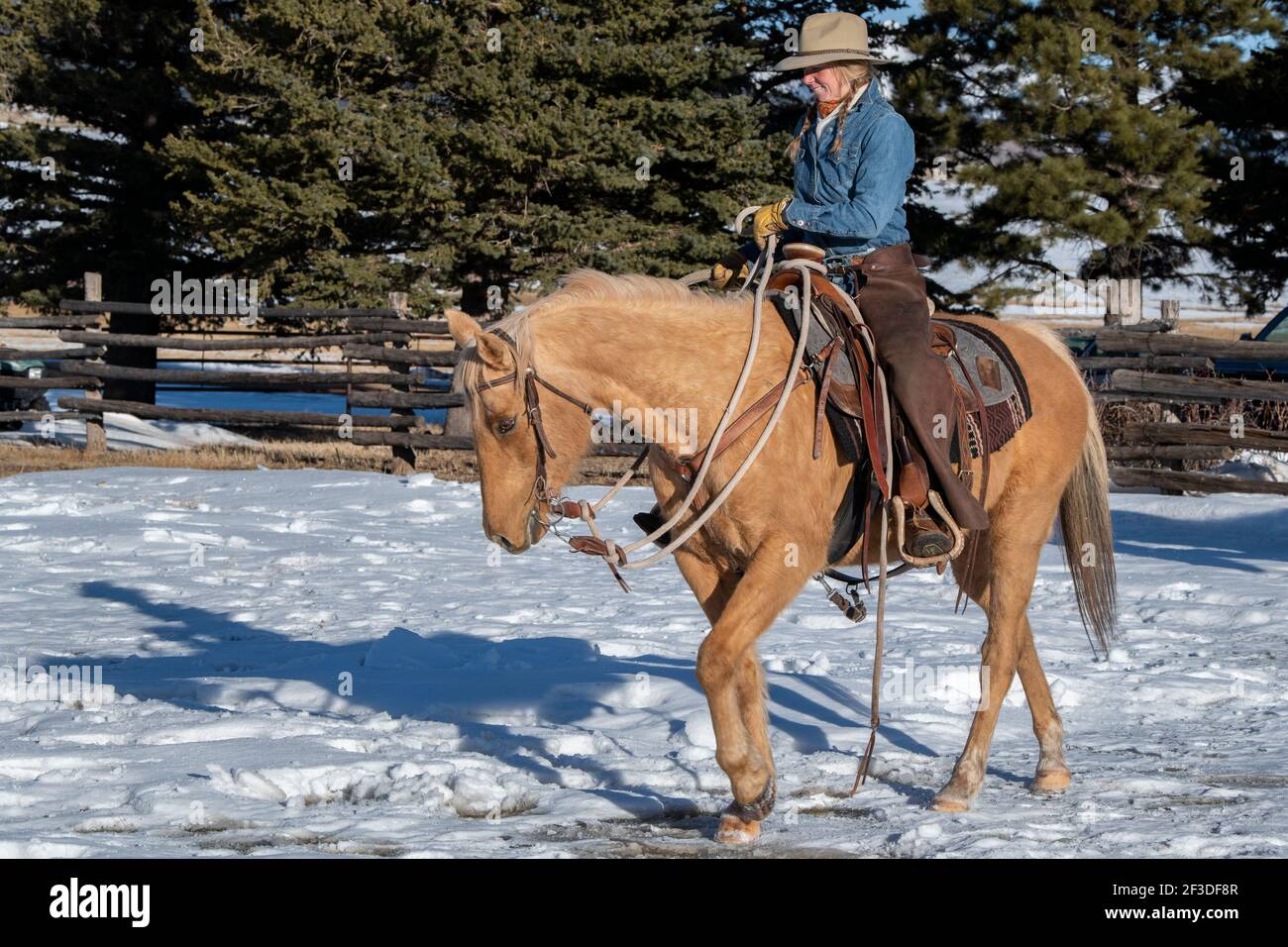 États-Unis, Colorado, Westcliffe, Music Meadows Ranch. Main de ranch femelle dans une tenue de ranch typique de l'Ouest. Modèle validé. Banque D'Images
