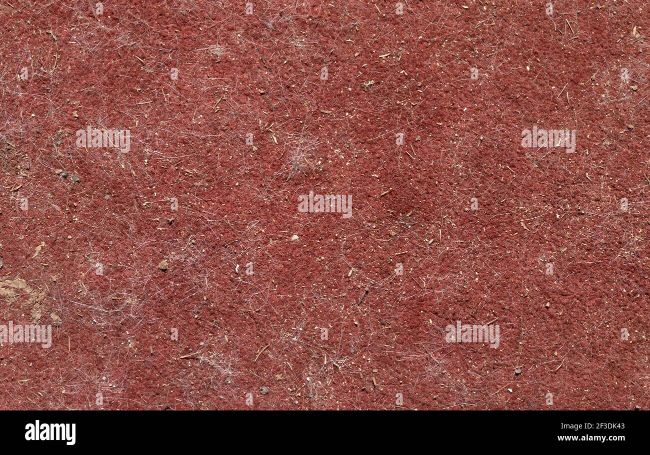 Vue de dessus de près d'un tapis de marron sale avec de la saleté et des cheveux de chien. Banque D'Images