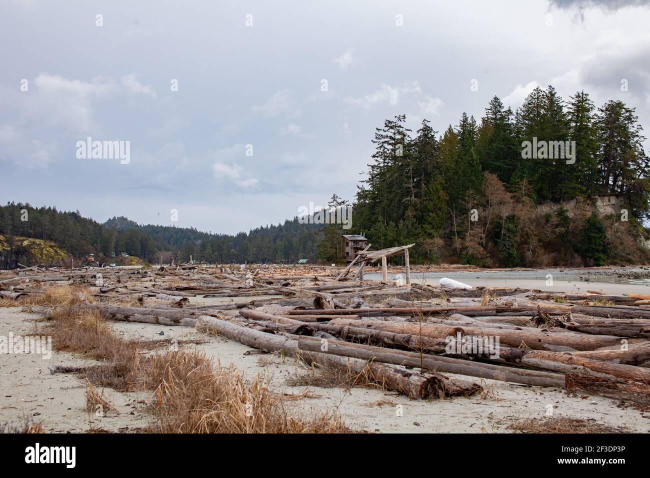 Thormanby Island est une belle île au large de la Sunshine Coast en Colombie-Britannique. Il est accessible en bateau seulement depuis Secret Cove, et bénéficie d'un beau sable Banque D'Images