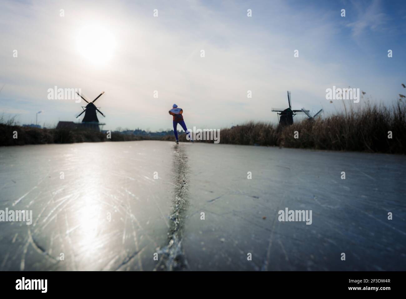 Vue arrière de l'entraînement d'un patineur sur l'eau naturelle gelée entre les moulins à vent. Vue à angle bas sur le sportif à Zaanse Schans, Zaandam. Banque D'Images