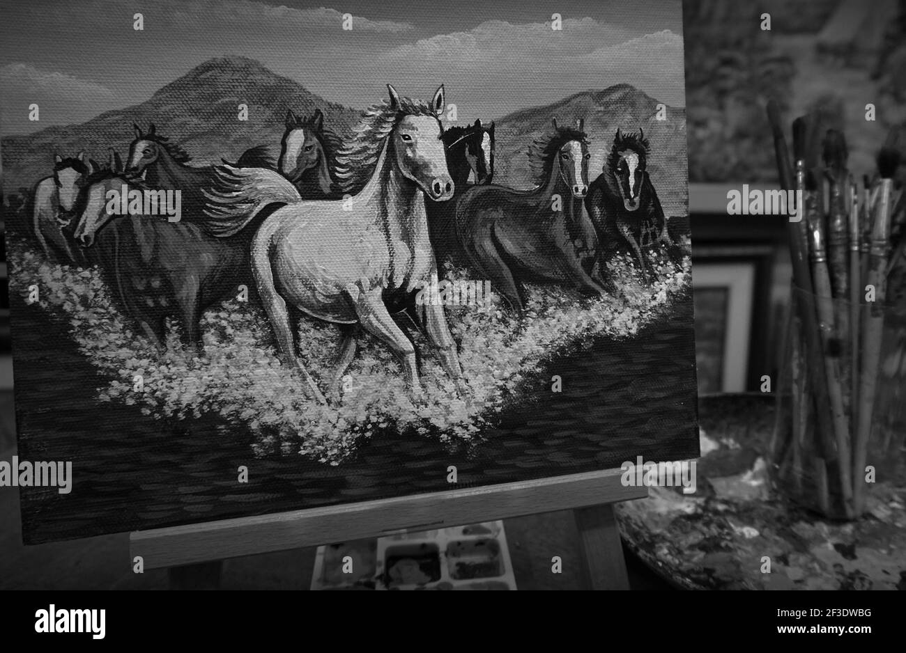 Art ,peinture ,dessin,Beaux-arts , cheval de course, Lucky, Thaïlande , noir et blanc , monochrome Banque D'Images