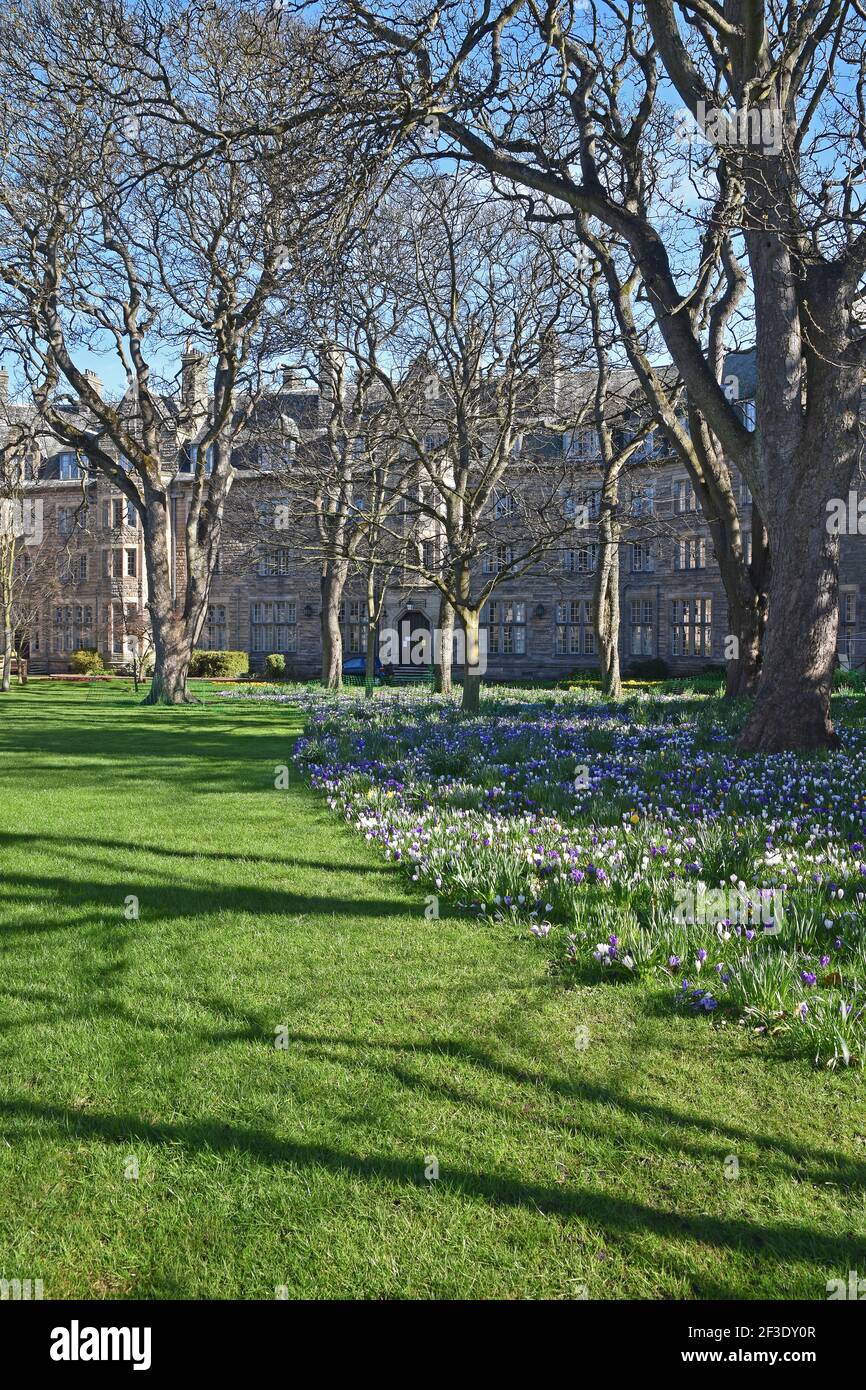 Extérieur des Halls de résidence de St Salvator à l'Université de St Andrews par une journée ensoleillée Banque D'Images