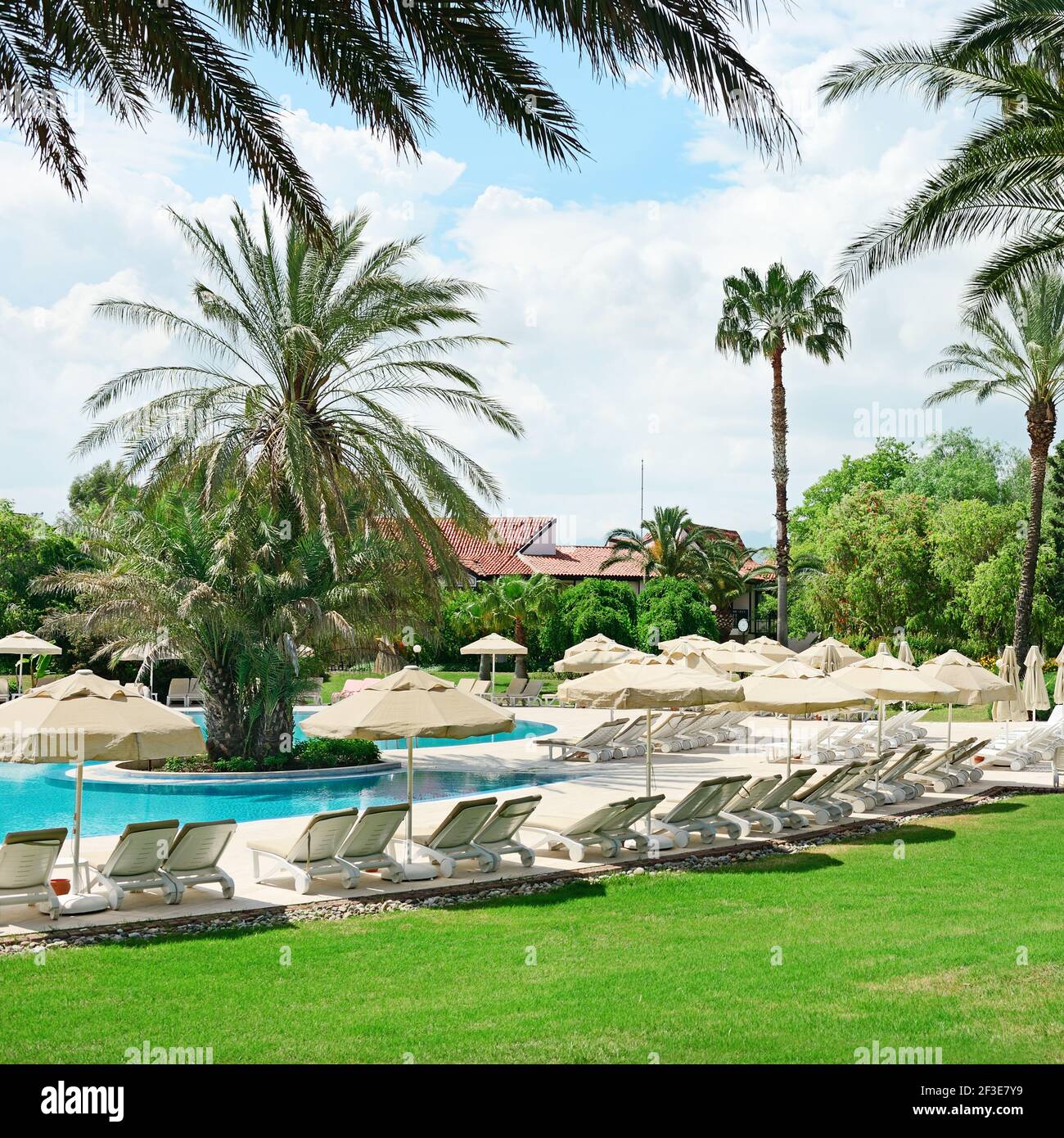 Chaises longues pour se détendre sur la pelouse verte Banque D'Images