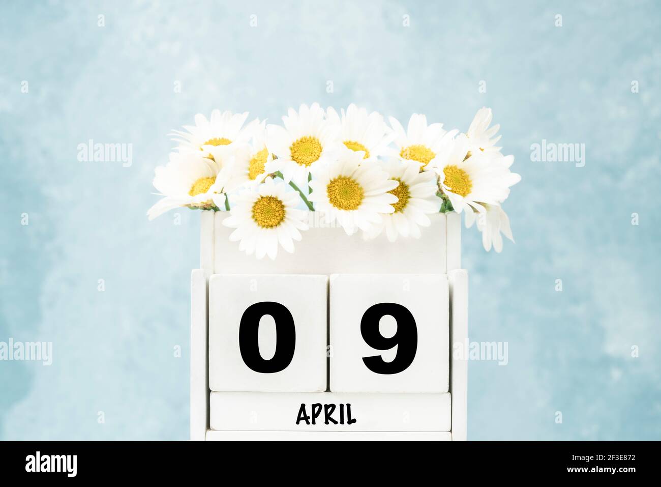 Calendrier blanc en forme de cube pour avril avec fleurs de Marguerite sur bleu arrière-plan avec espace de copie Banque D'Images