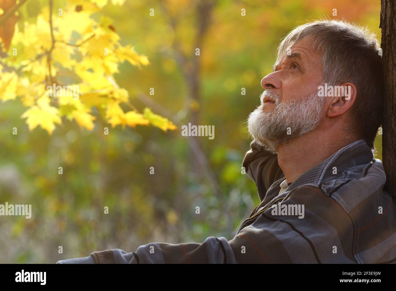 Homme pensif sous un arbre Banque D'Images