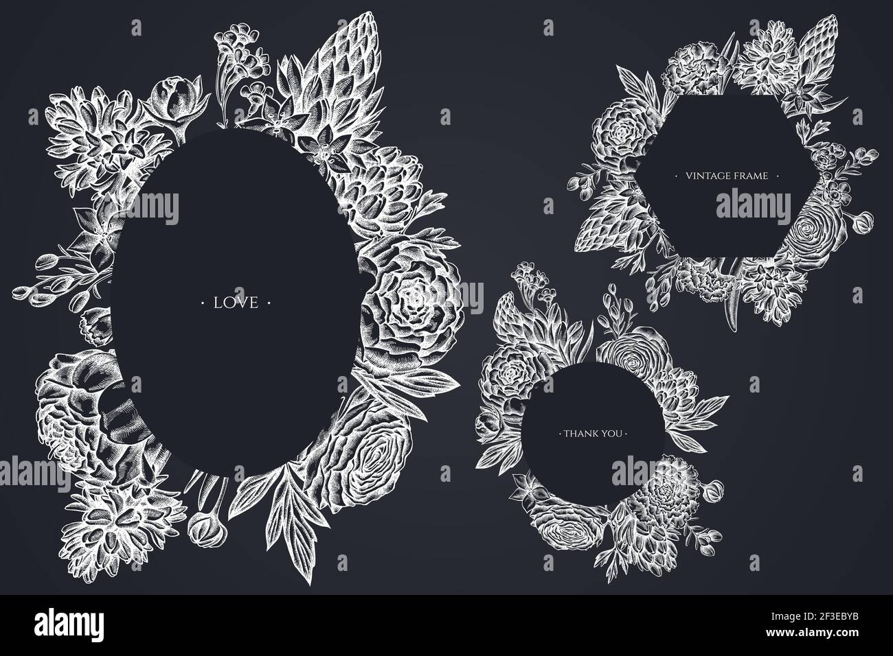 Cadres floraux avec pivoine à craie, carnation, ranunculus, fleur de cire, ornithogalum, jacinthe Illustration de Vecteur