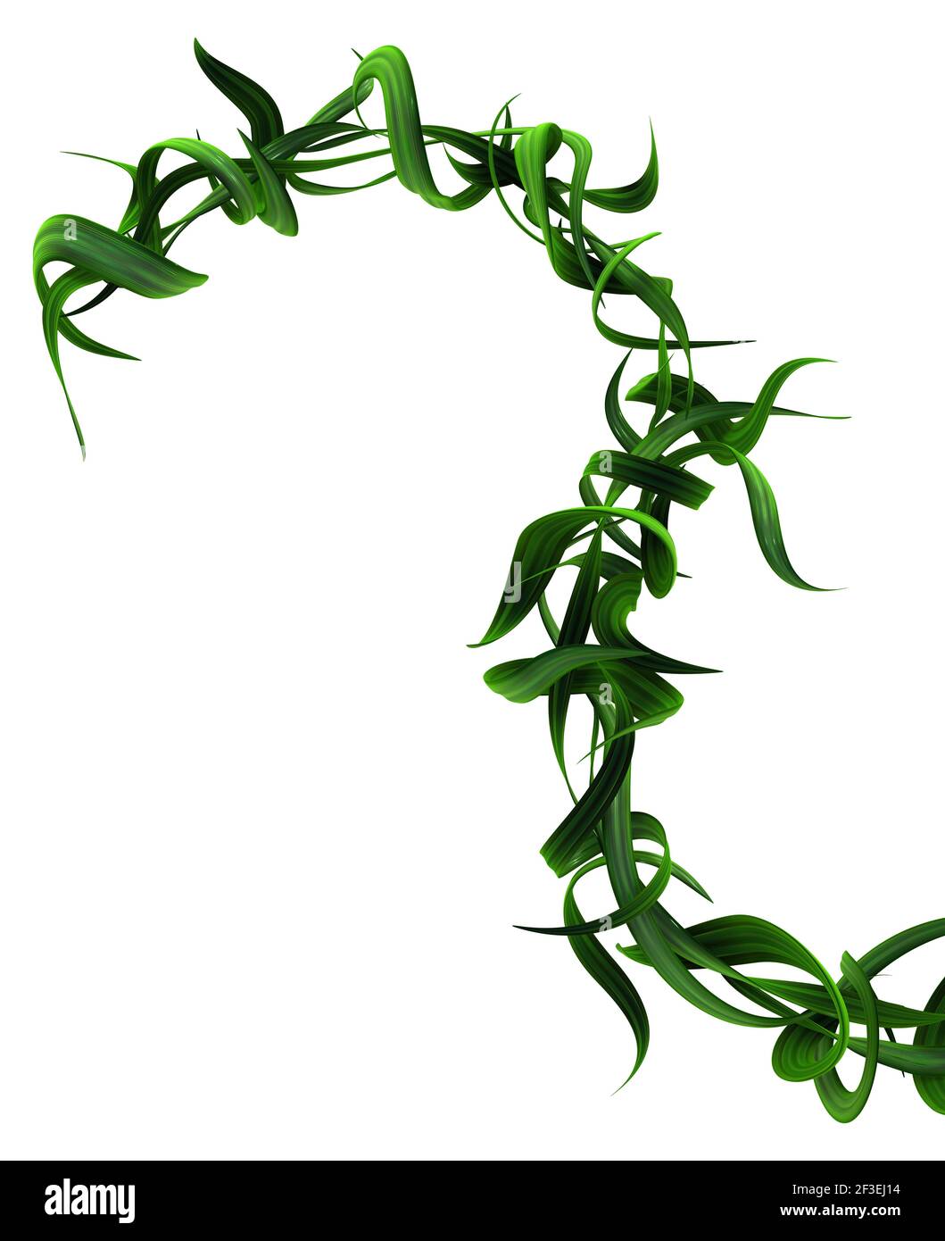 Plante vigne vert crochet à feuilles torsadées, illustration 3d,  horizontal, isolé, sur blanc Photo Stock - Alamy