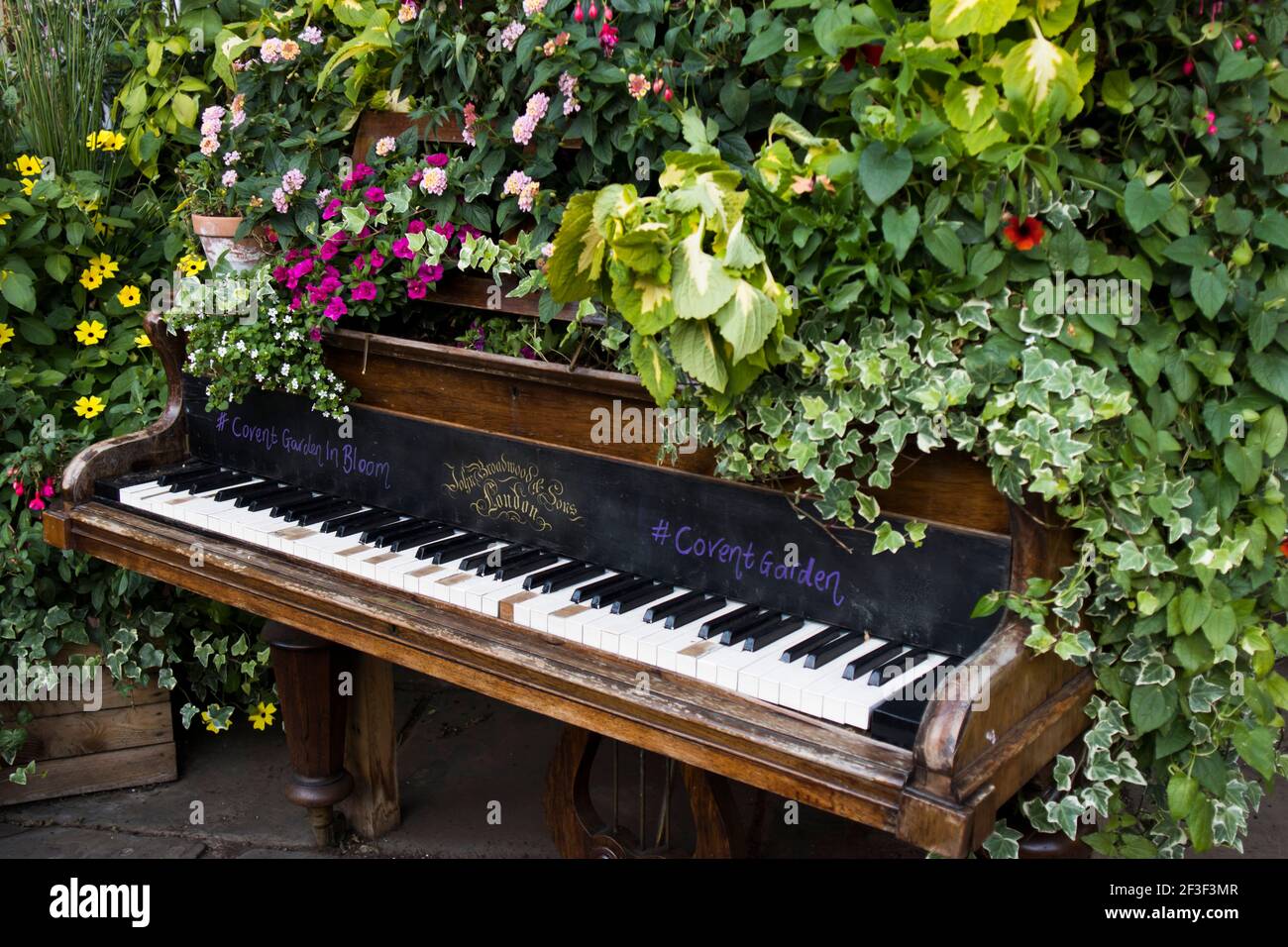 Un piano à queue dans les buissons comme décoration pour l'entrée du  marché. Jardin verdoyant Photo Stock - Alamy