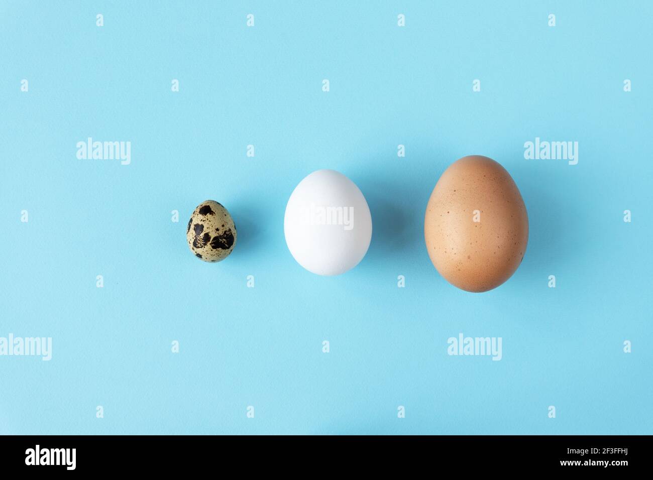 Trois types d'œufs d'oiseaux différents isolés sur fond de papier bleu. Concept de choix de taille et de type divers. Nutriments pour la caille, les œufs et les œufs de dinde Banque D'Images