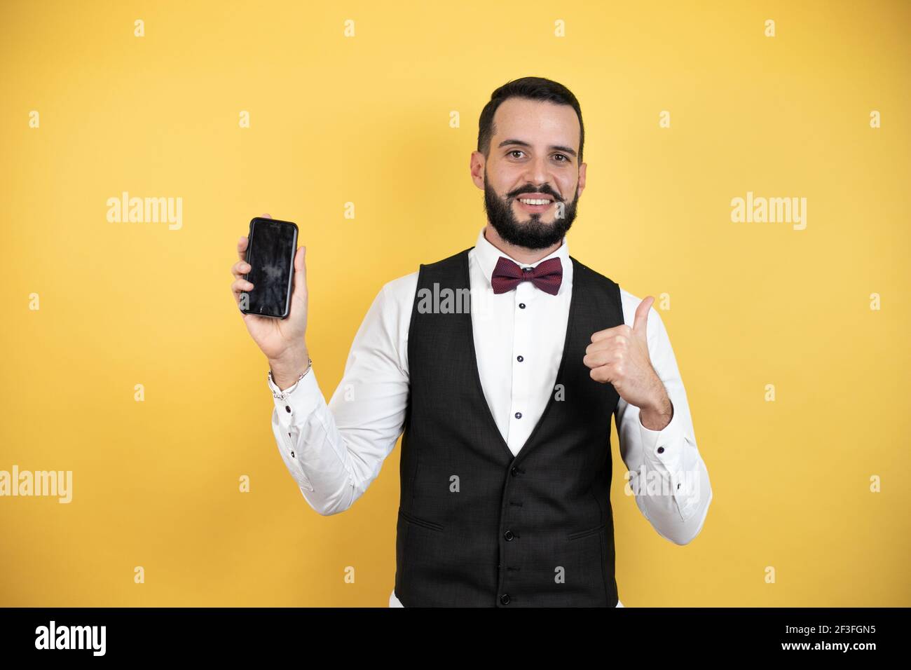 Jeune homme avec une barbe portant un noeud papillon et un gilet souriant pointez avec votre main et votre doigt sur le côté arrière-plan jaune Banque D'Images