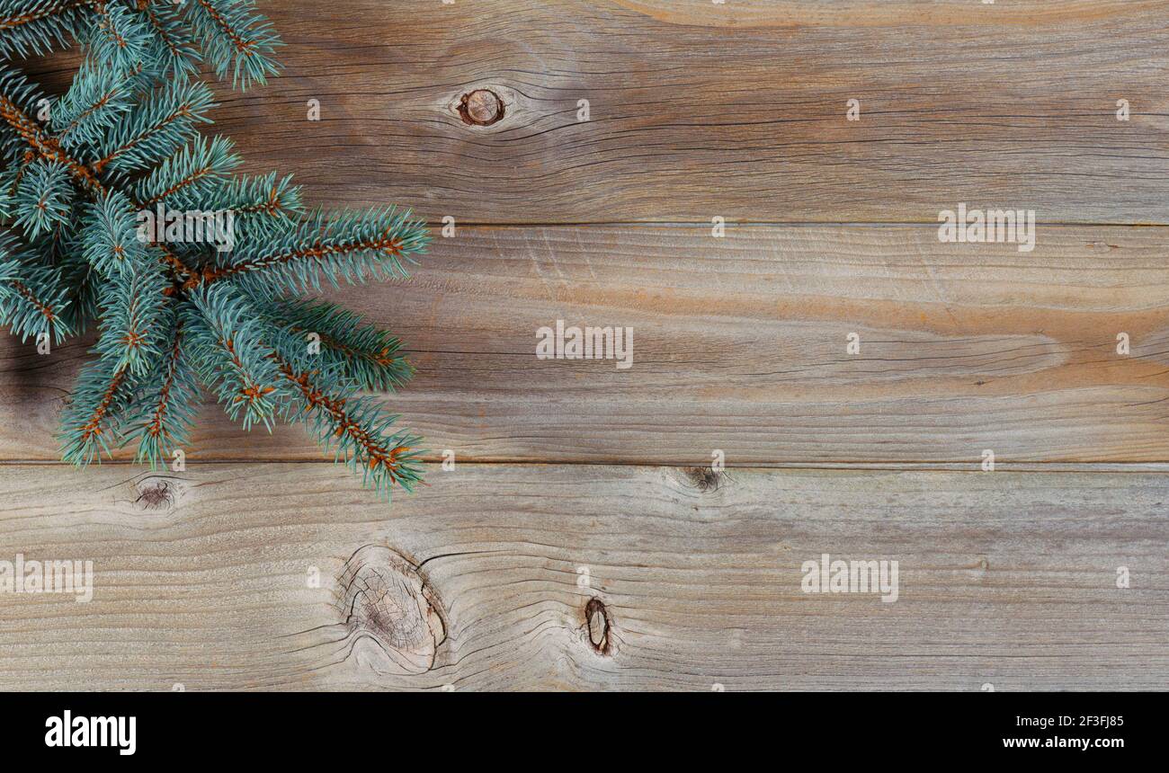 Une branche d'arbre de Noël sur des planches de bois rustique chaudes pour les concepts de vacances Banque D'Images