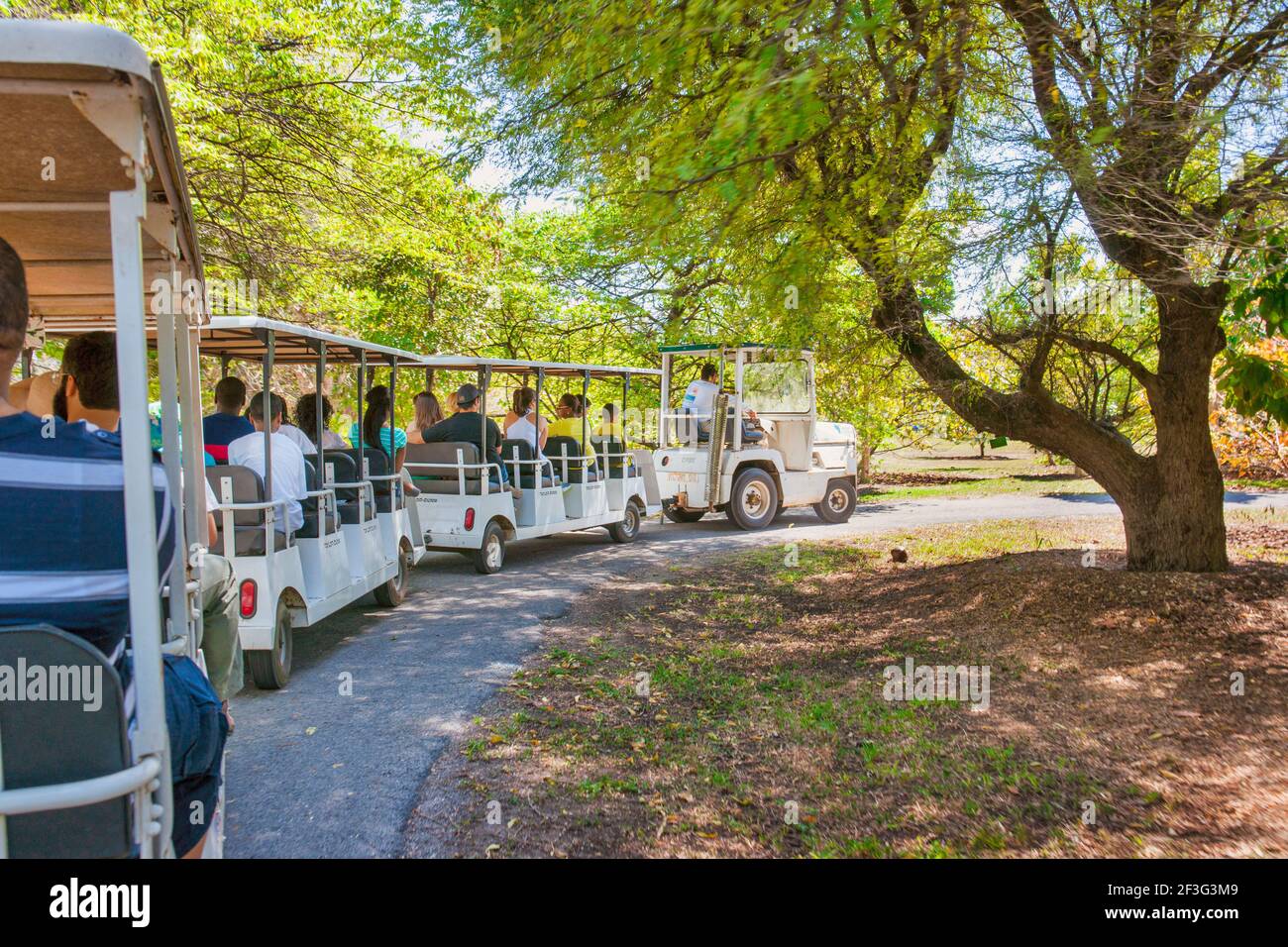 Une visite en tramway au parc des fruits et épices du comté de Miami-Dade en Floride. Banque D'Images