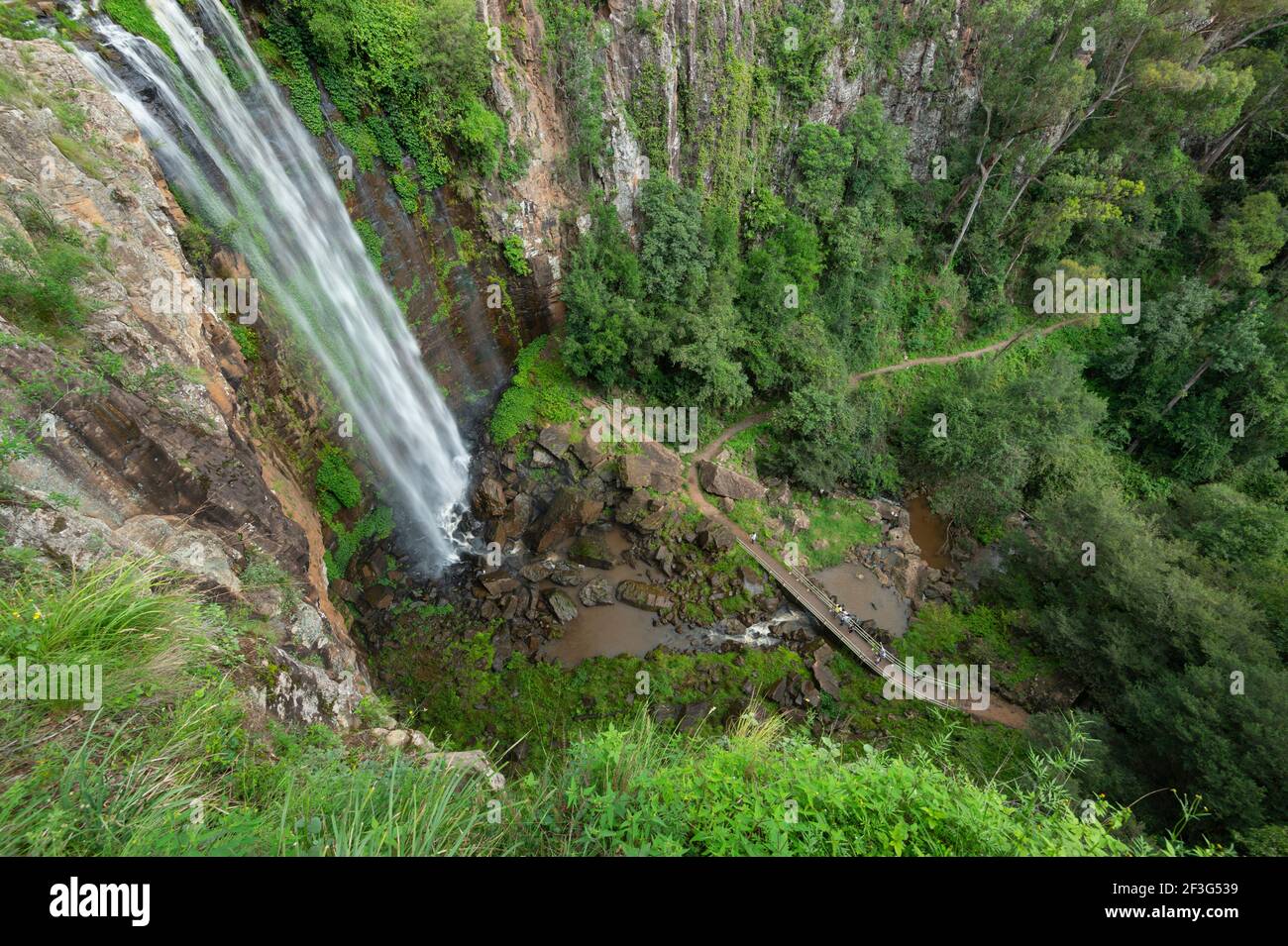 Vue panoramique depuis le belvédère des célèbres chutes Queen Mary, du parc national main Range, Killarney, Queensland, Queensland, Australie Banque D'Images