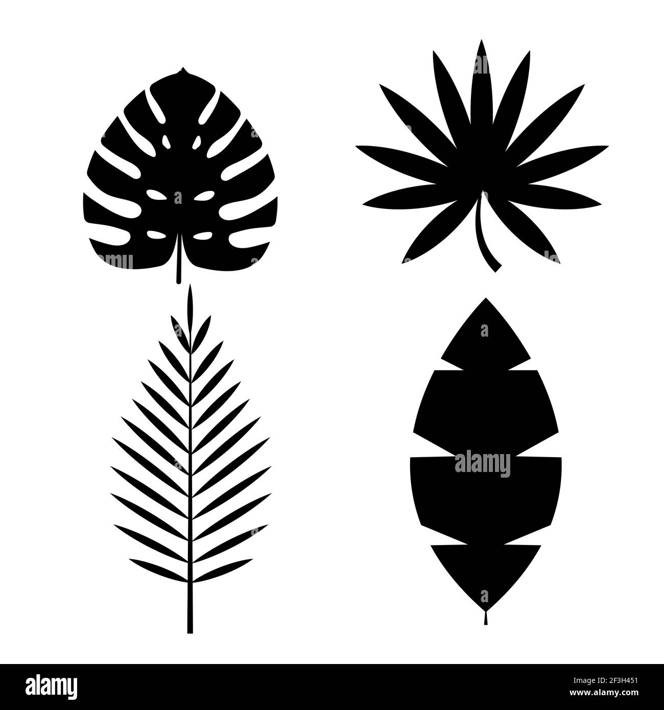 Palmier tropical, Monstera laisse icône isolée sur fond blanc. Ensemble d'éléments Natural Design. Illustration vectorielle EPS10 Illustration de Vecteur Palmier tropical, Monstera laisse icône isolée sur fond blanc. Ensemble d'éléments Natural Design. Illustration vectorielle EPS10 Illustration de Vecteur