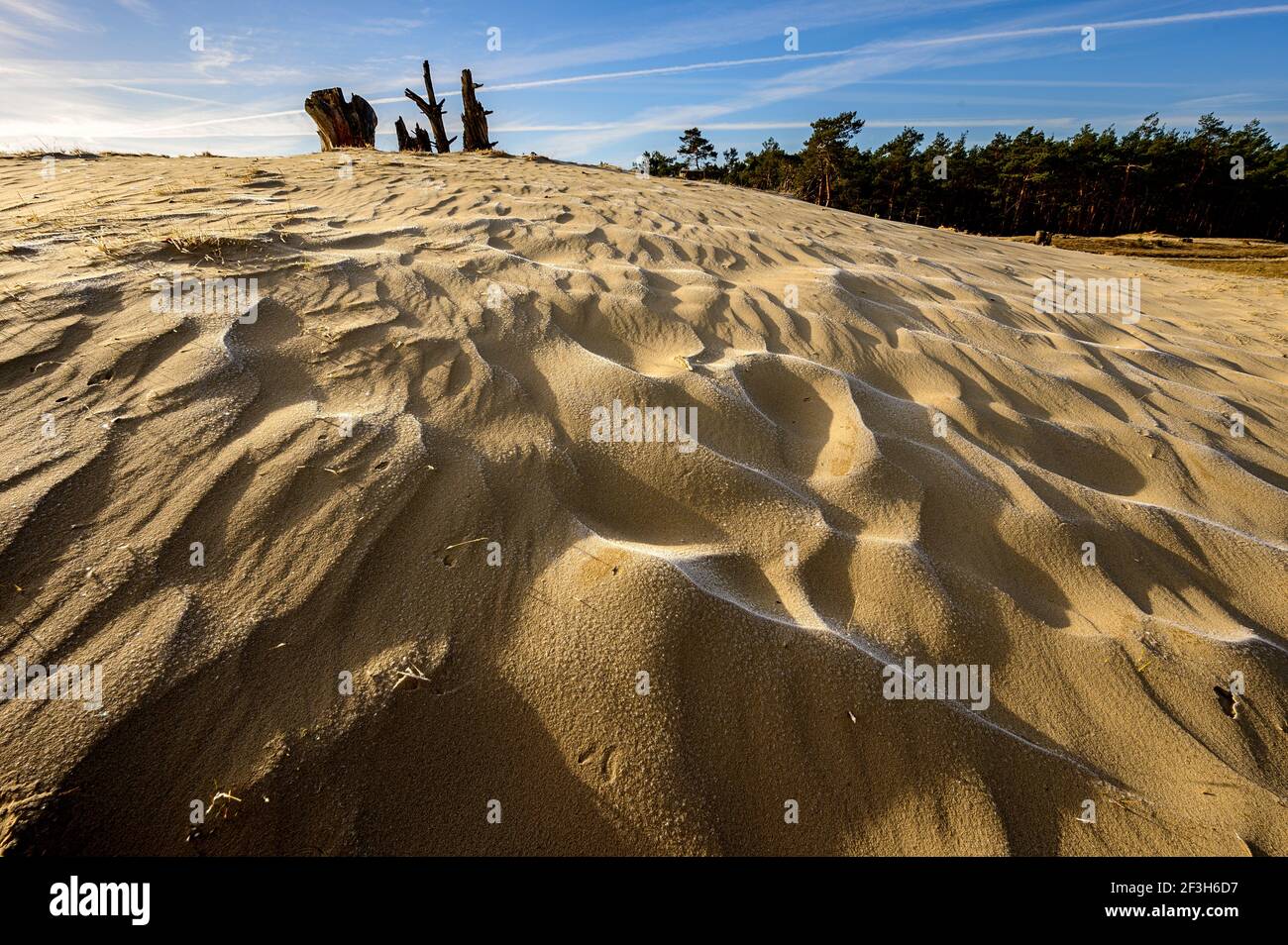 Dunes de sable formées par le vent, avec du gel à l'ombre Banque D'Images