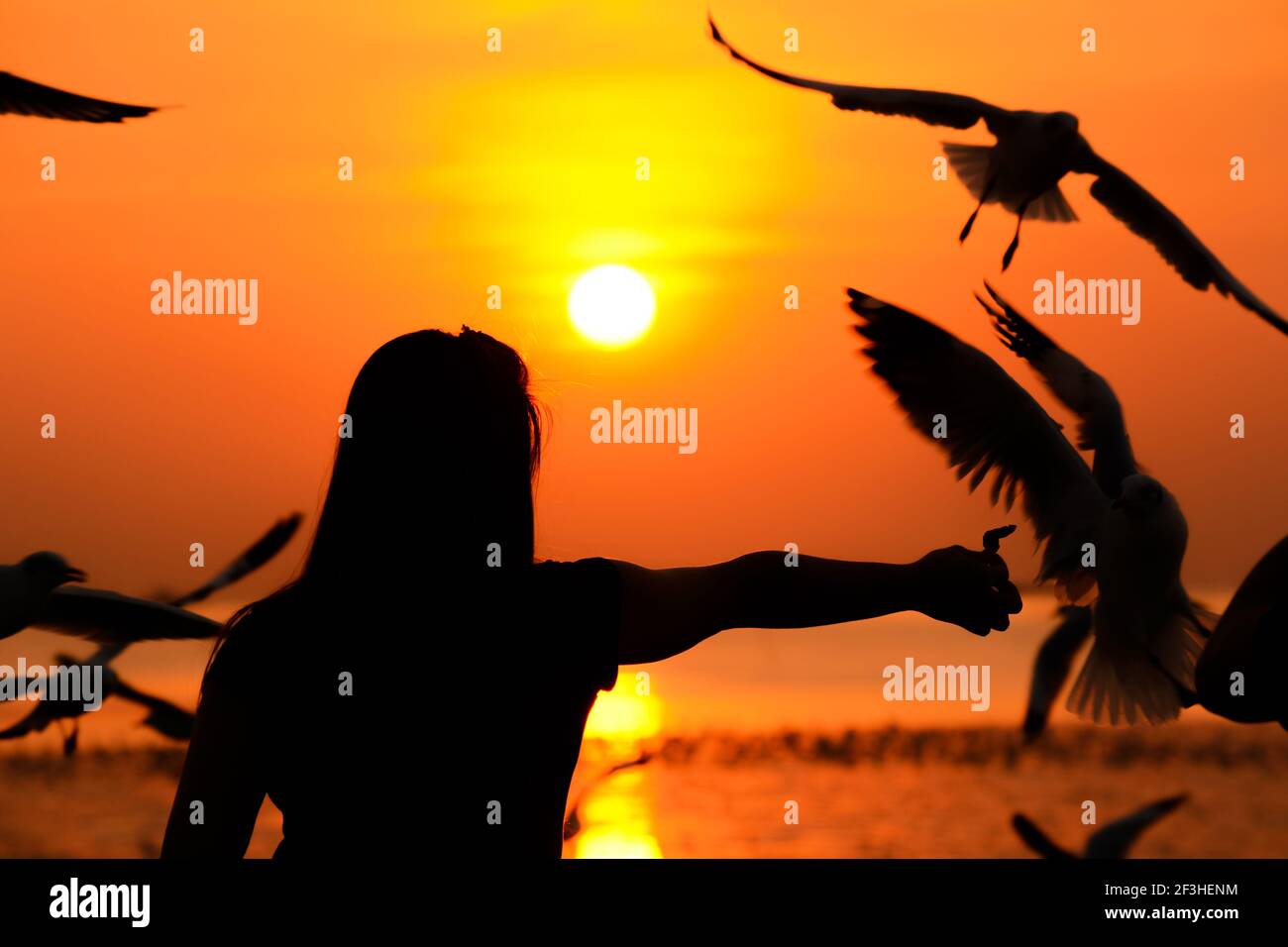 Silhouette d'une fille nourrissant des oiseaux au bord de la mer coucher de soleil sur fond Banque D'Images