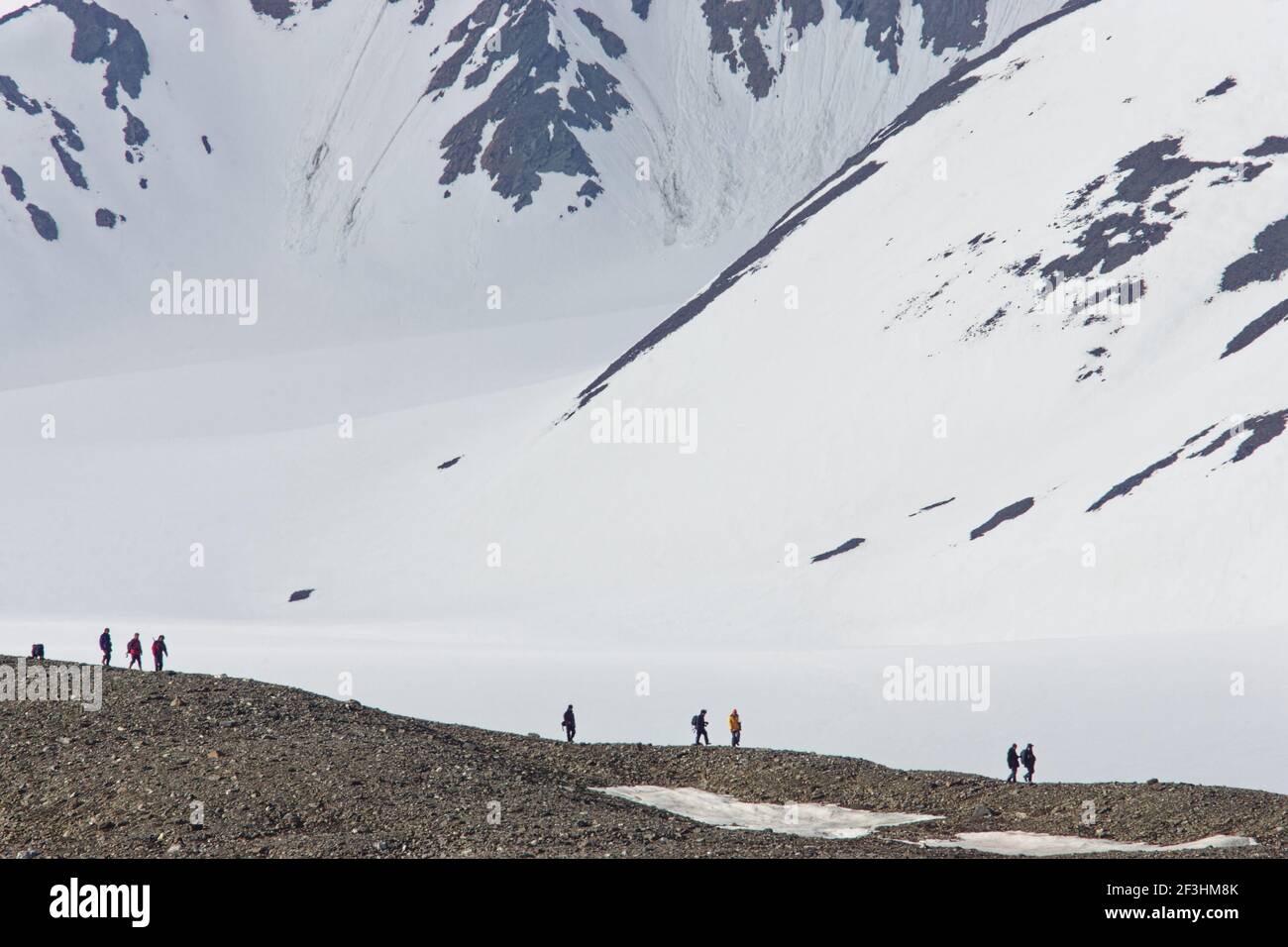 Touristes explorant sur le terrain Svalbard (Spitzbergen) LA003906 Banque D'Images