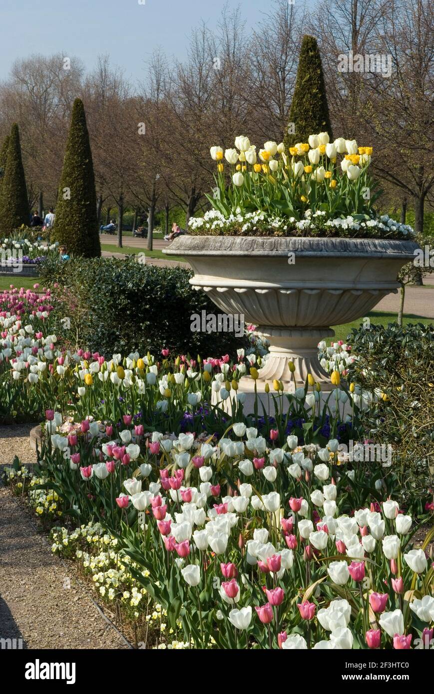 Spectaculaire exposition florale de tulipes au printemps, Avenue Gardens, Regent's Park, Londres NW1, Angleterre | AUCUN | Banque D'Images