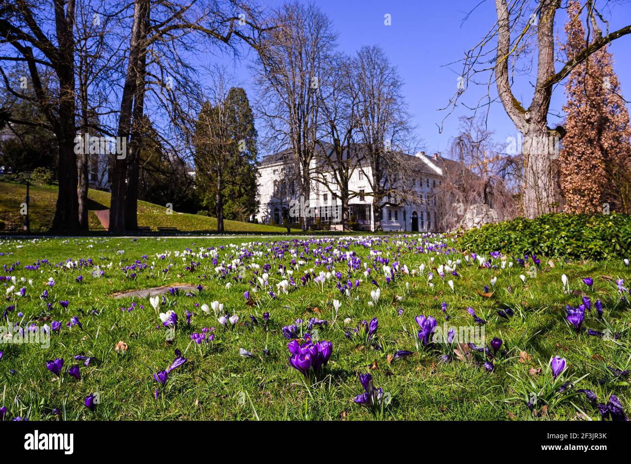 Les crocodiles dans les jardins du spa Baden Baden Germany, Europe Banque D'Images